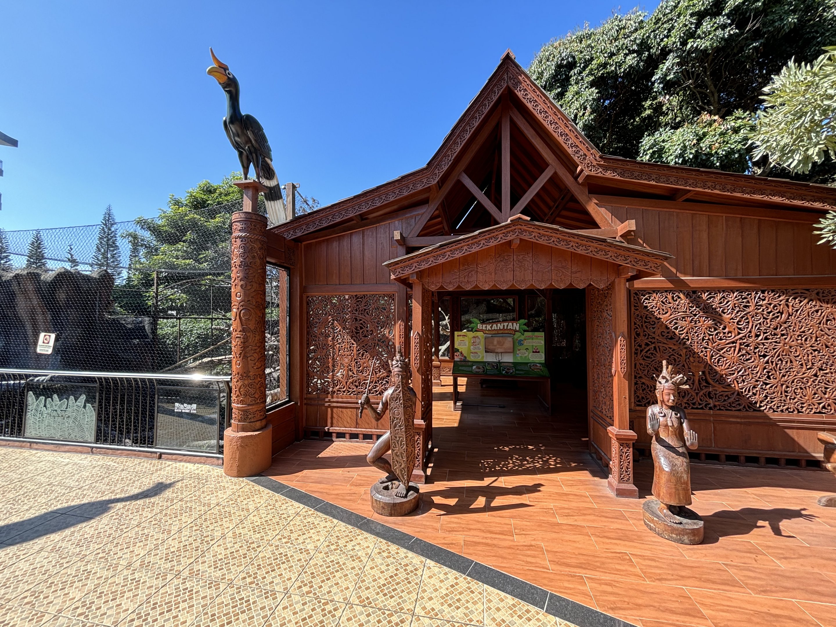 Proboscis Monkey + Glossy Ibis Exhibit