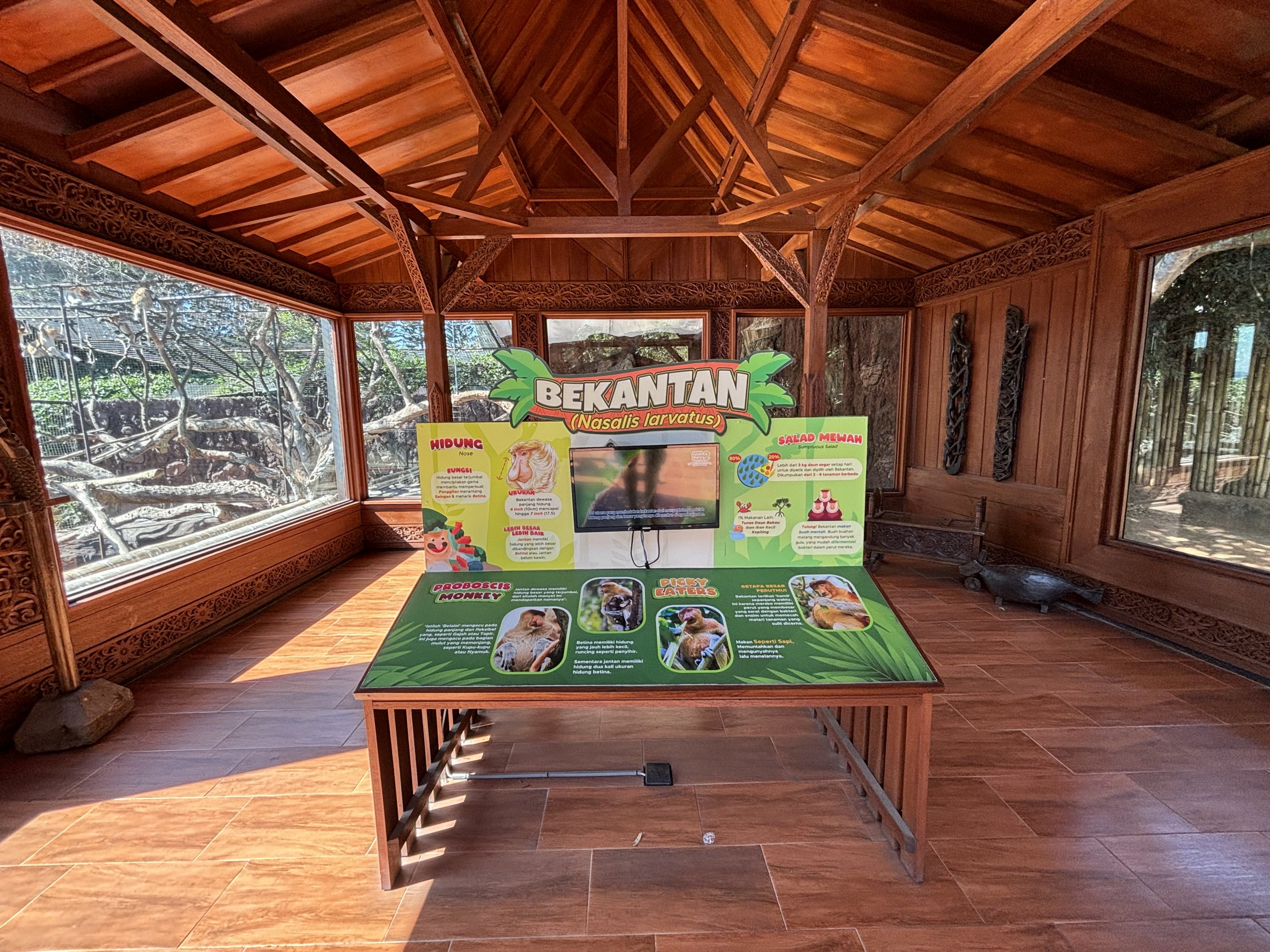 Proboscis Monkey + Glossy Ibis Exhibit