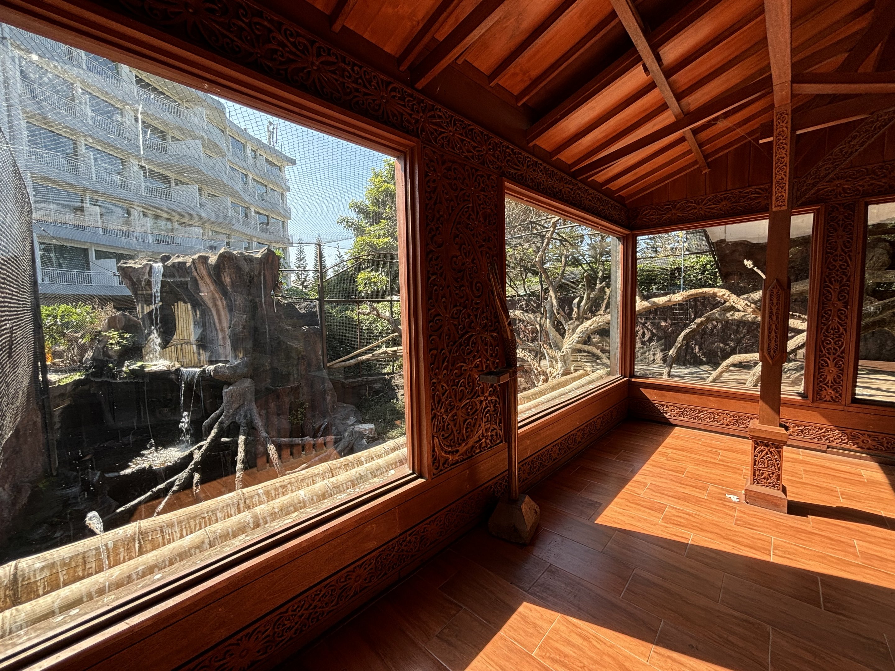 Proboscis Monkey + Glossy Ibis Exhibit