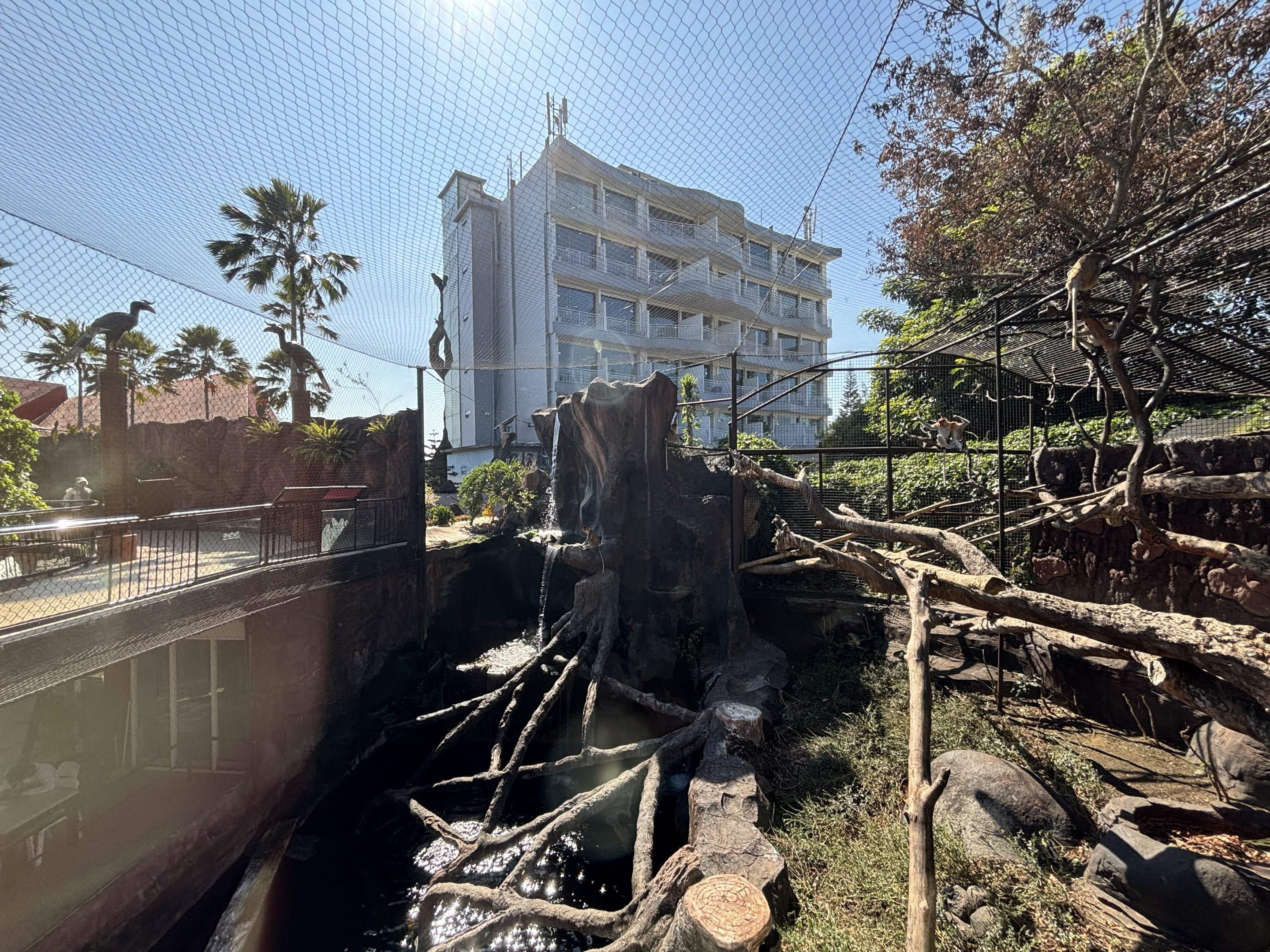 Proboscis Monkey + Glossy Ibis Exhibit