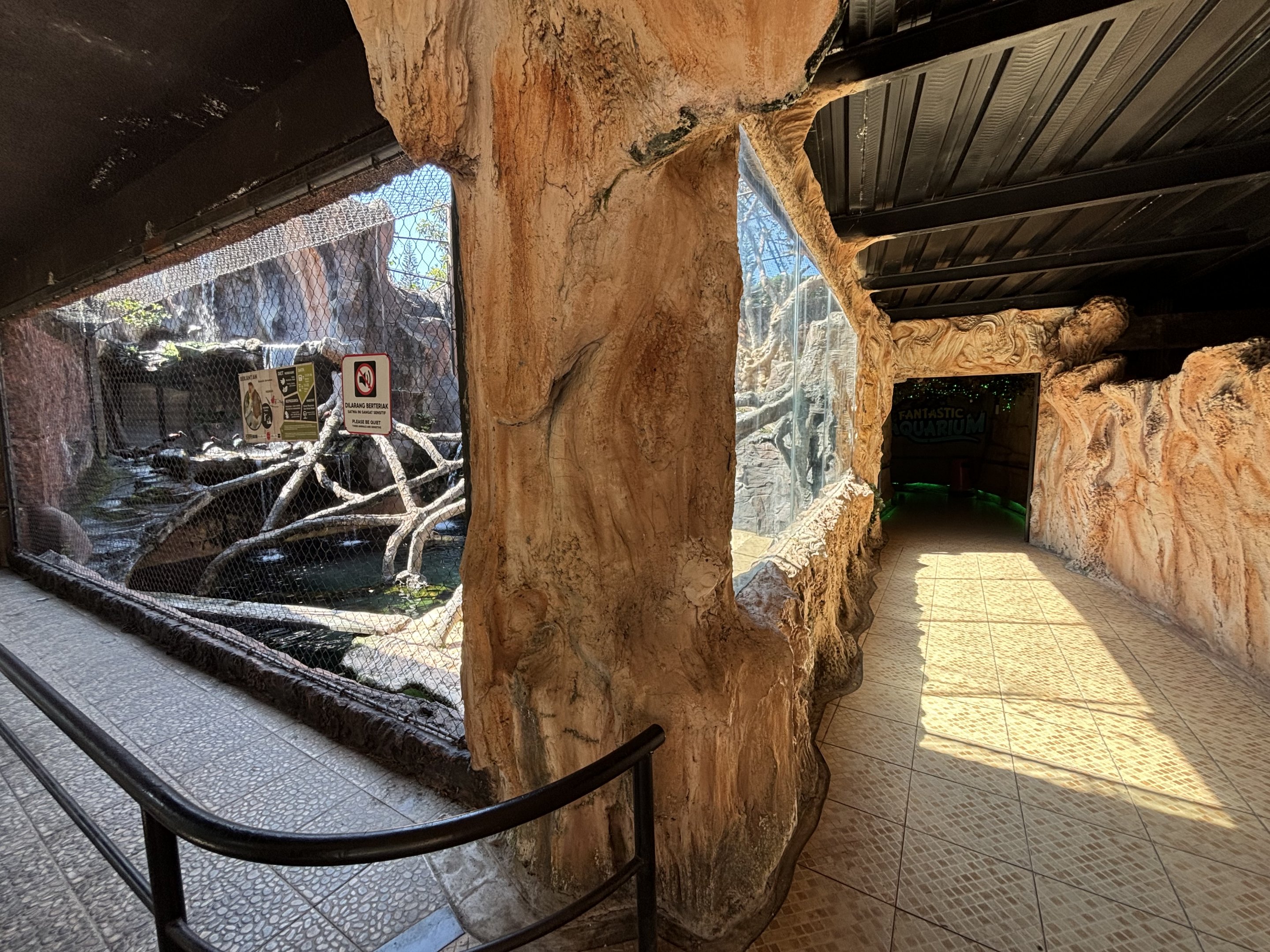 Proboscis Monkey + Glossy Ibis Exhibit