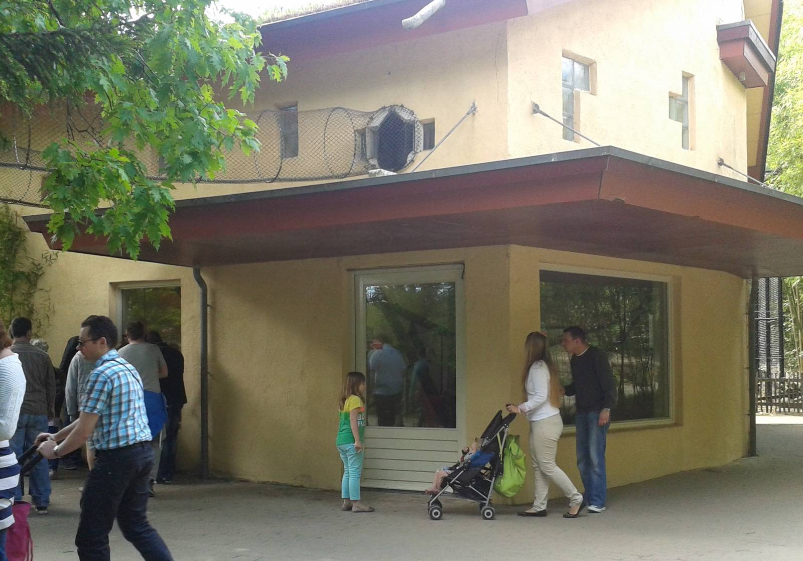 Proboscis monkey-house