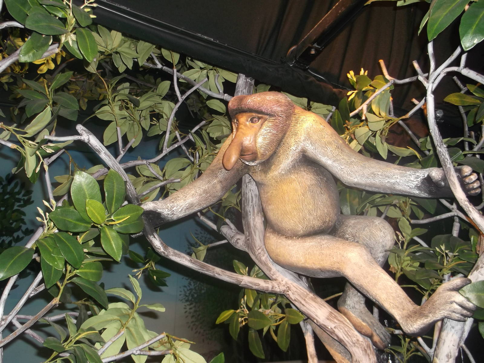 Proboscis Monkey Model