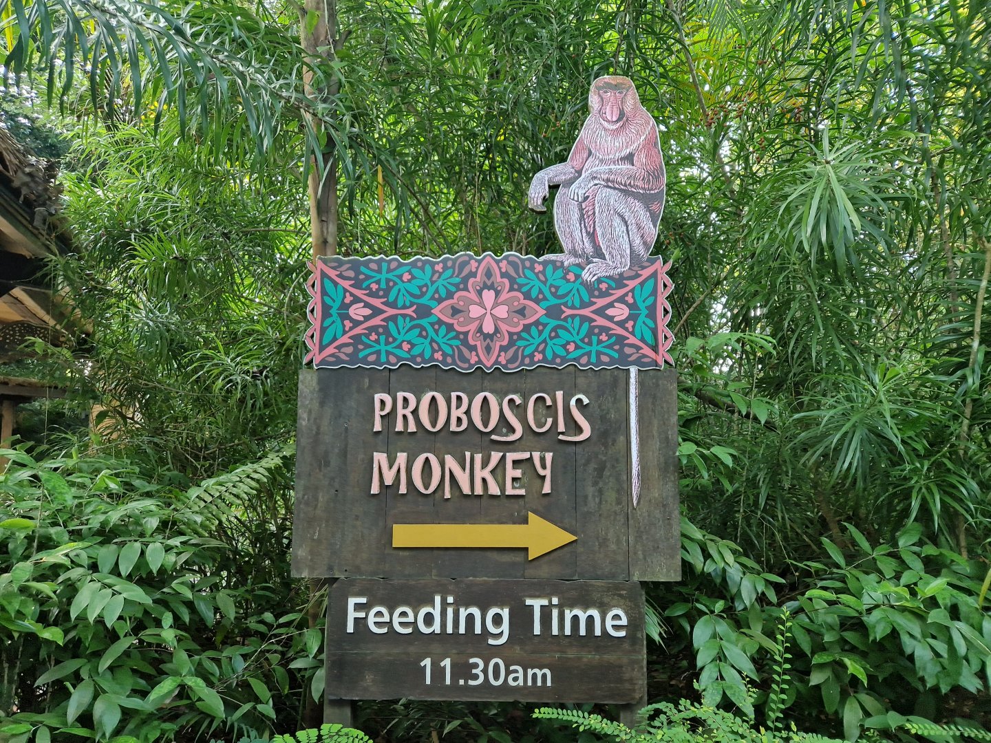 Proboscis Monkey sign