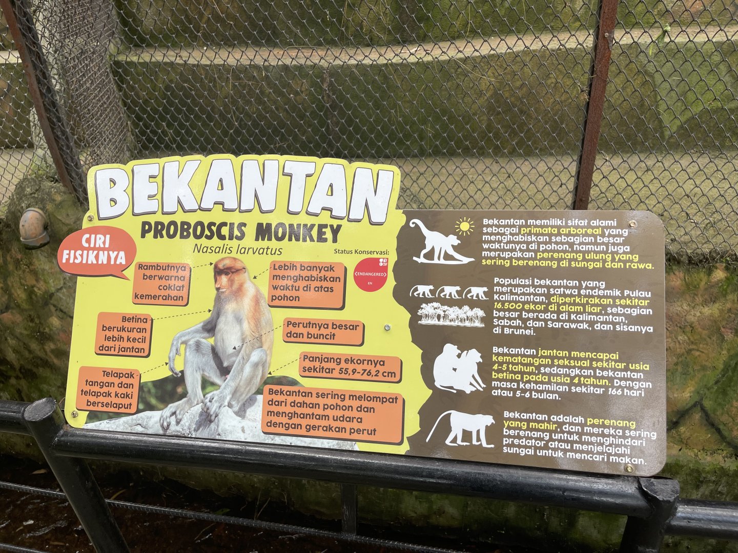 proboscis monkey signage (1)