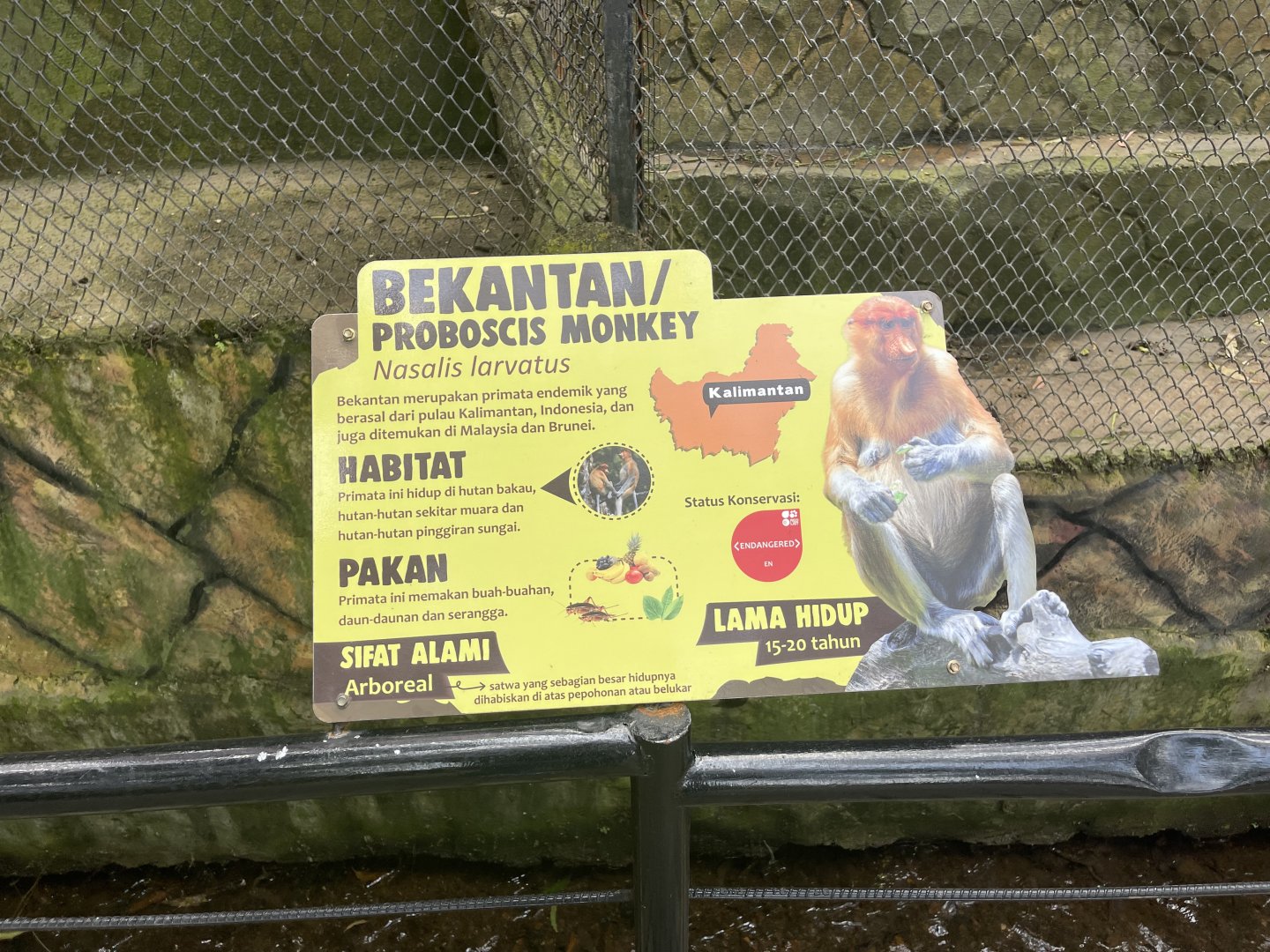 proboscis monkey signage (2)