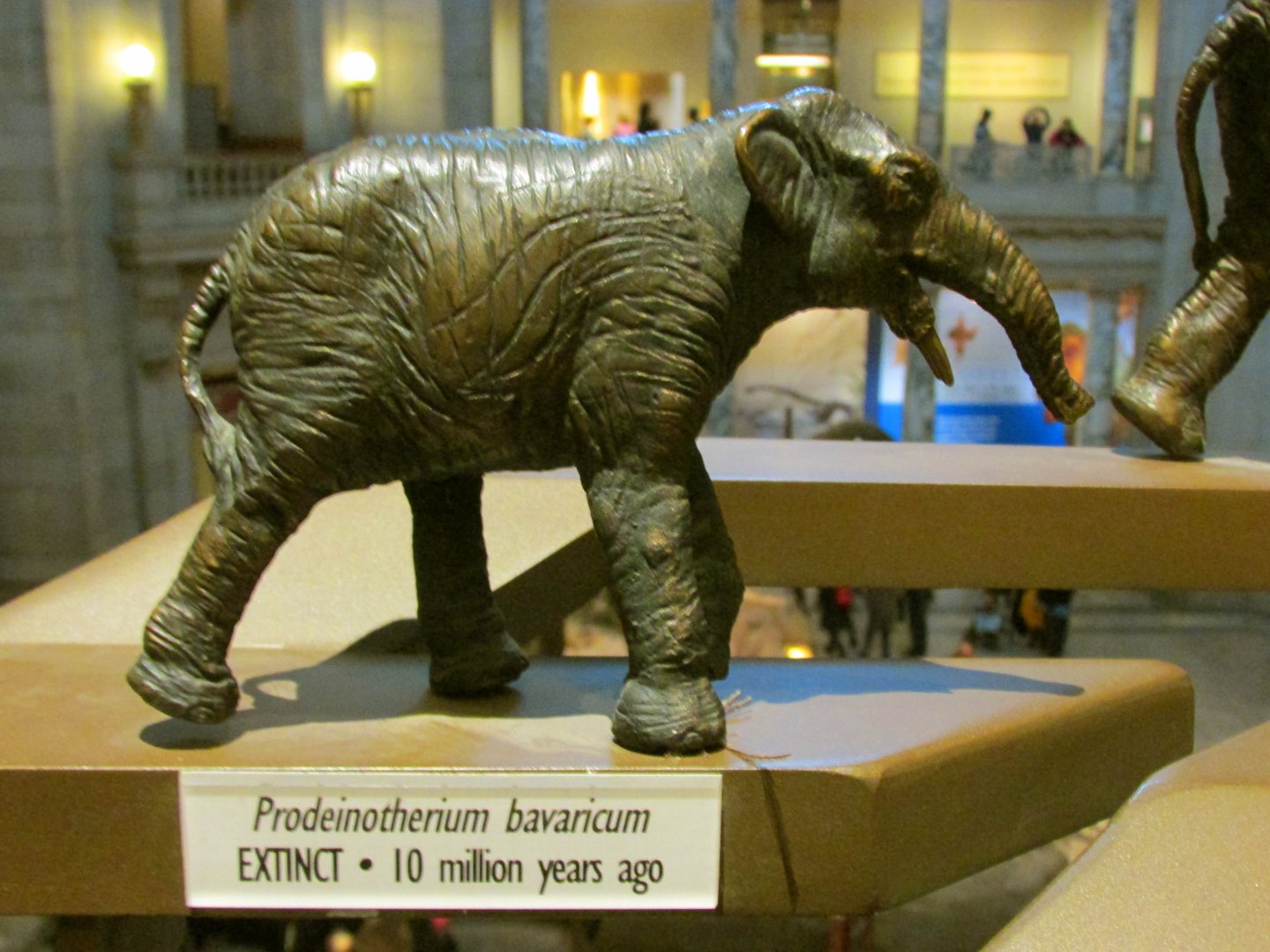 Prodeinotherium Bronze Sculpture