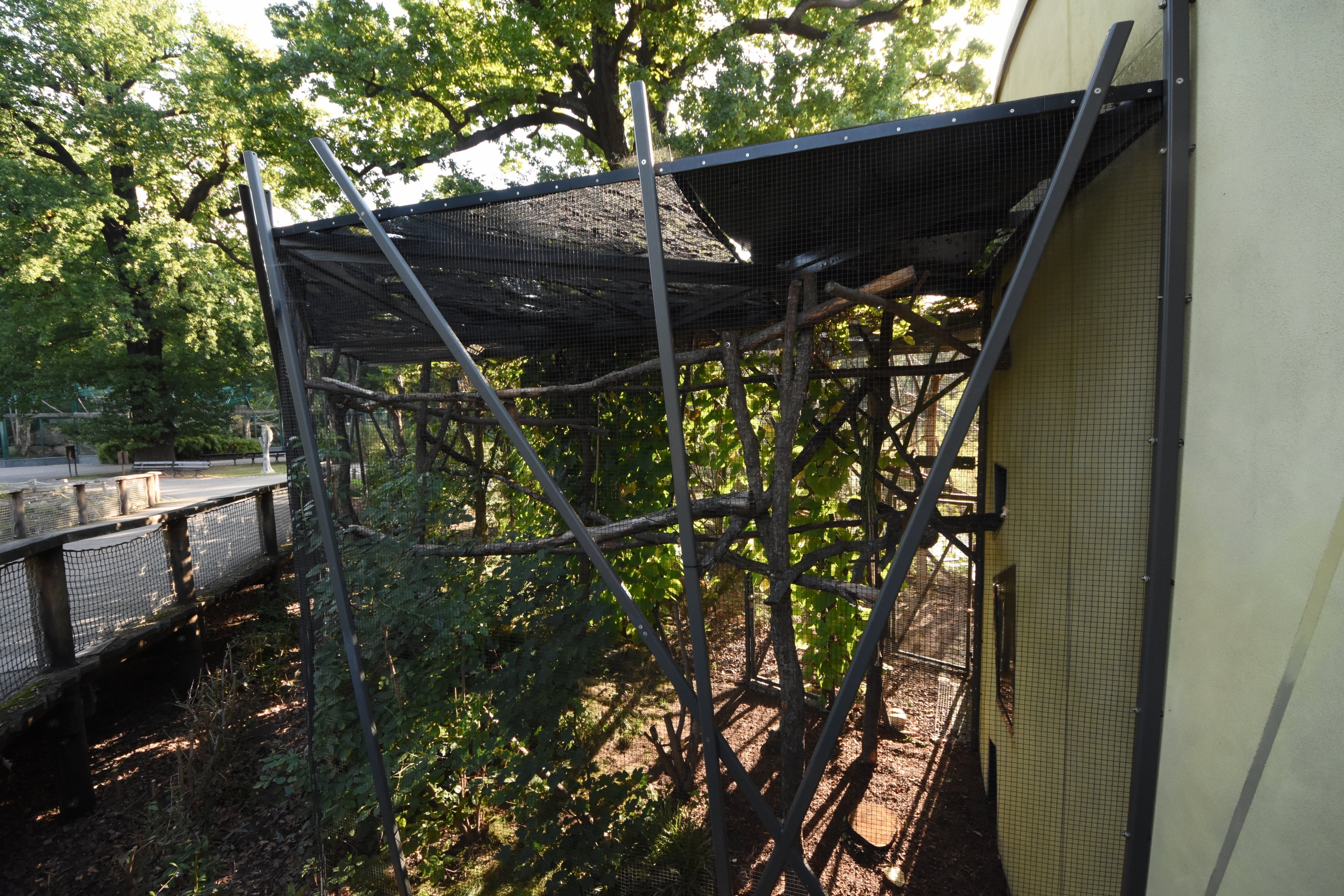 Prof. Brandeshaus - Crowned lemur outdoor cage