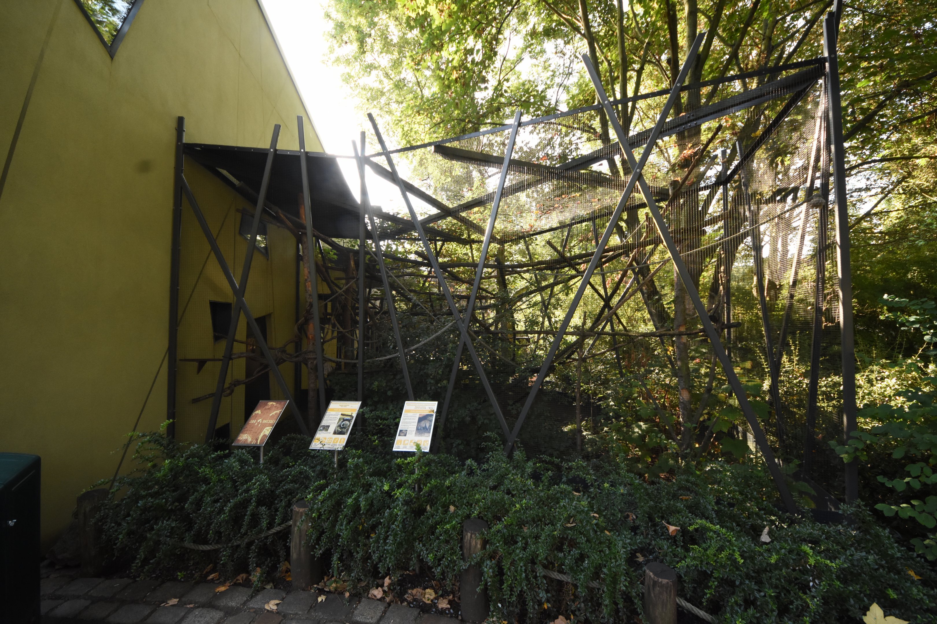 Prof. Brandeshaus - Emperor bearded tamaring & Three-banded armadillo outdoor