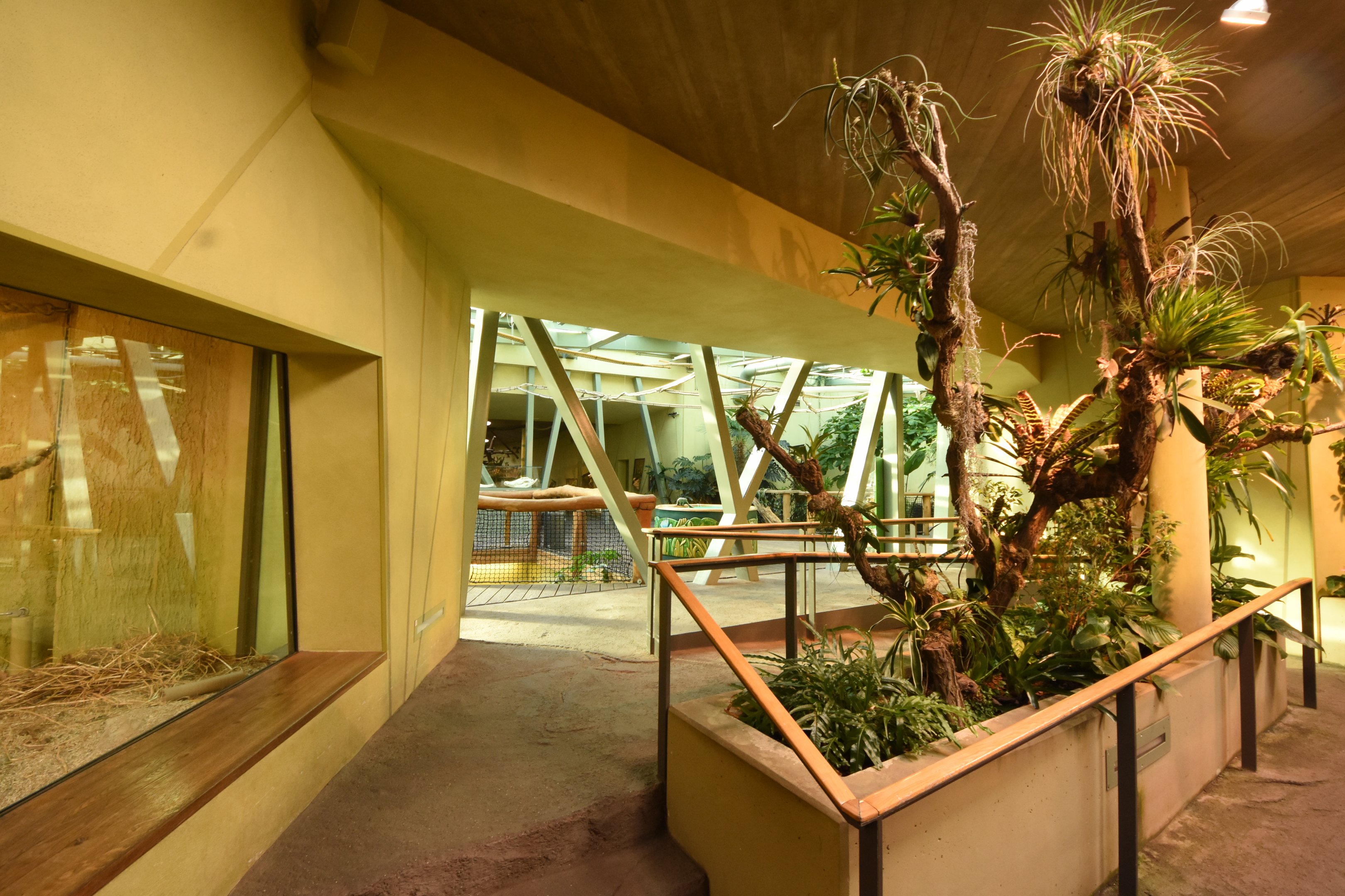 Prof. Brandeshaus - General view