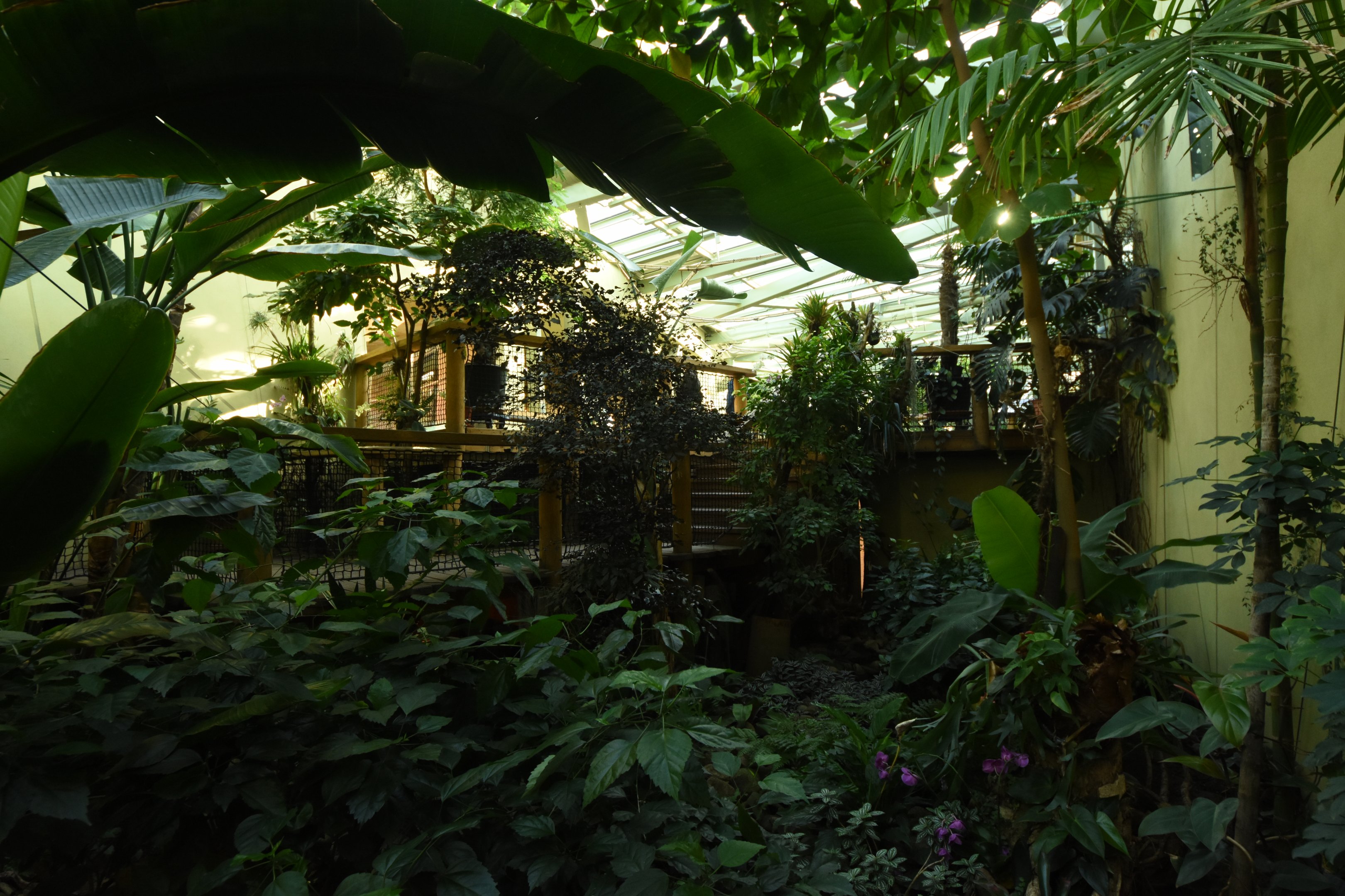 Prof. Brandeshaus - General view