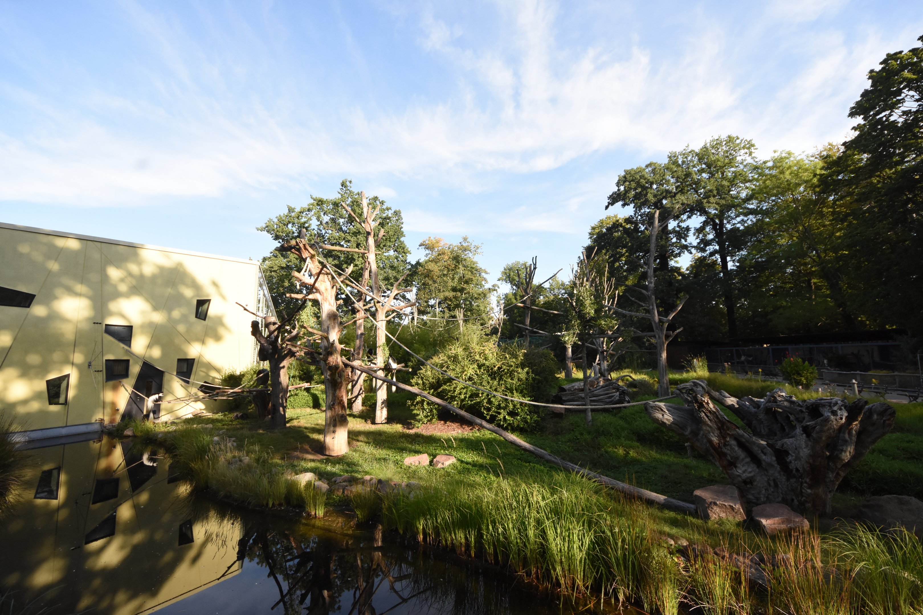 Prof. Brandeshaus - Kikuyu guereza island