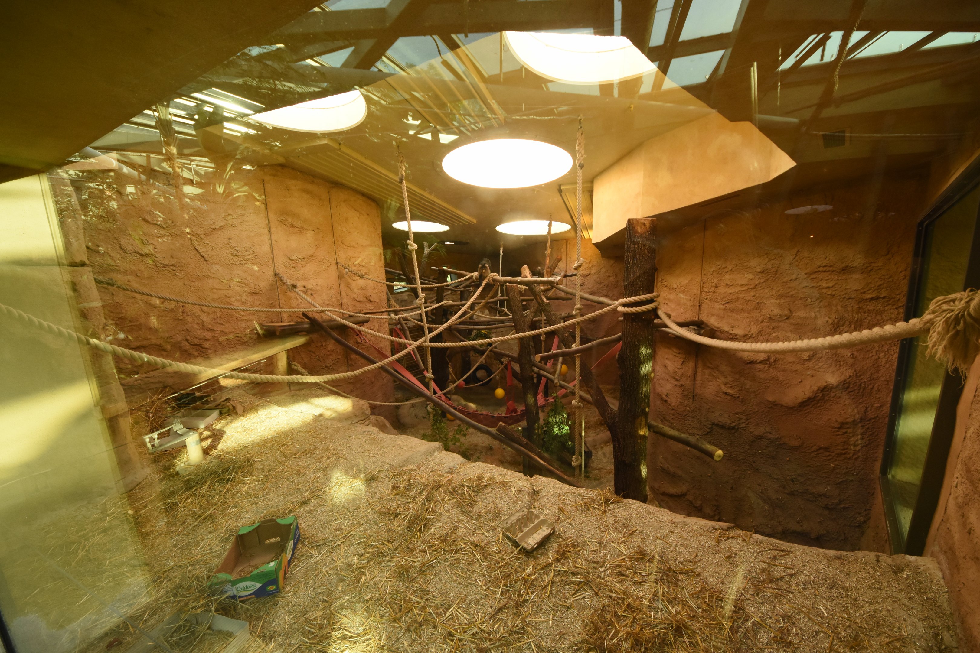 Prof. Brandeshaus - Lion-tailed macaque indoor enclosure