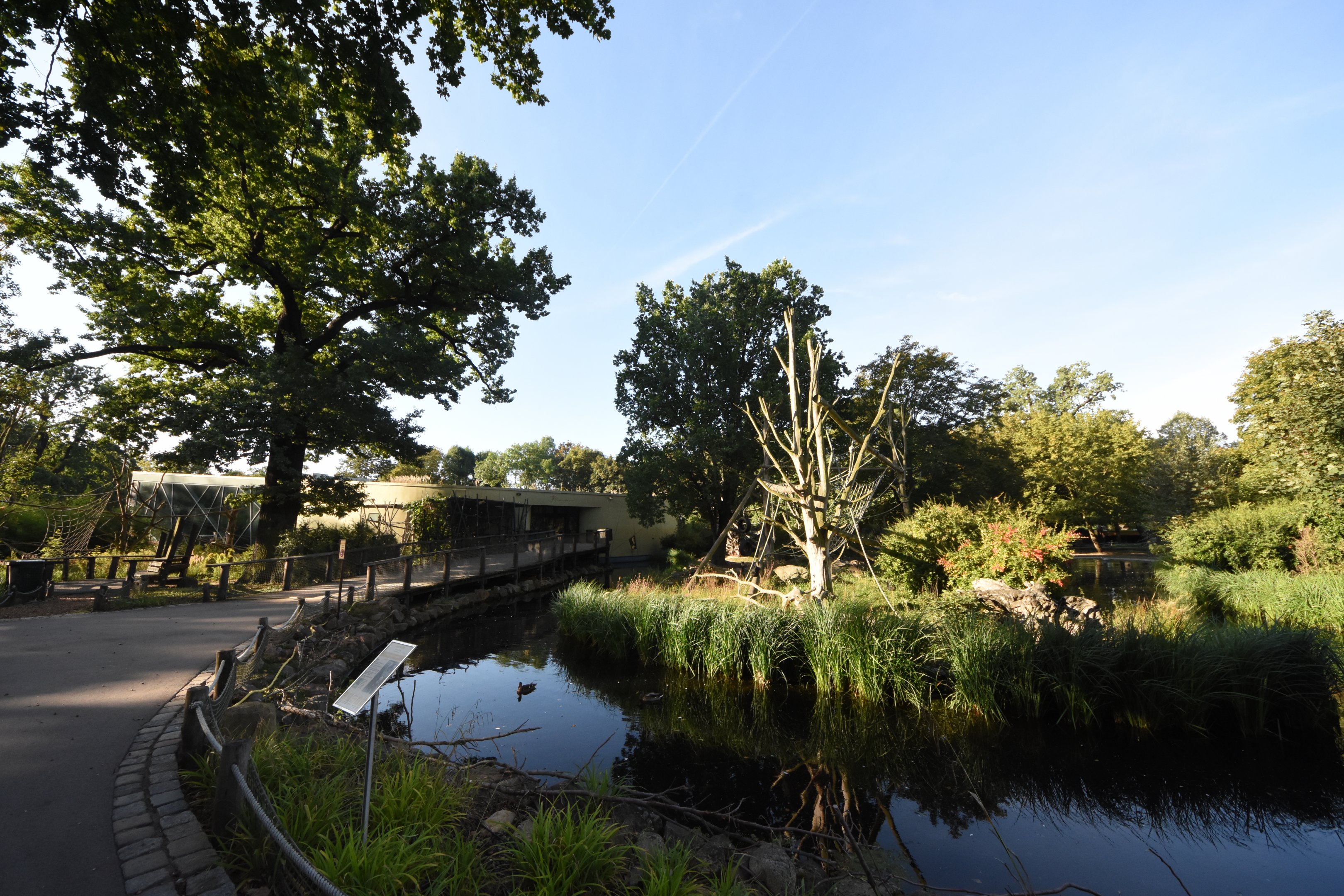 Prof. Brandeshaus - Lion-tailed macaque island