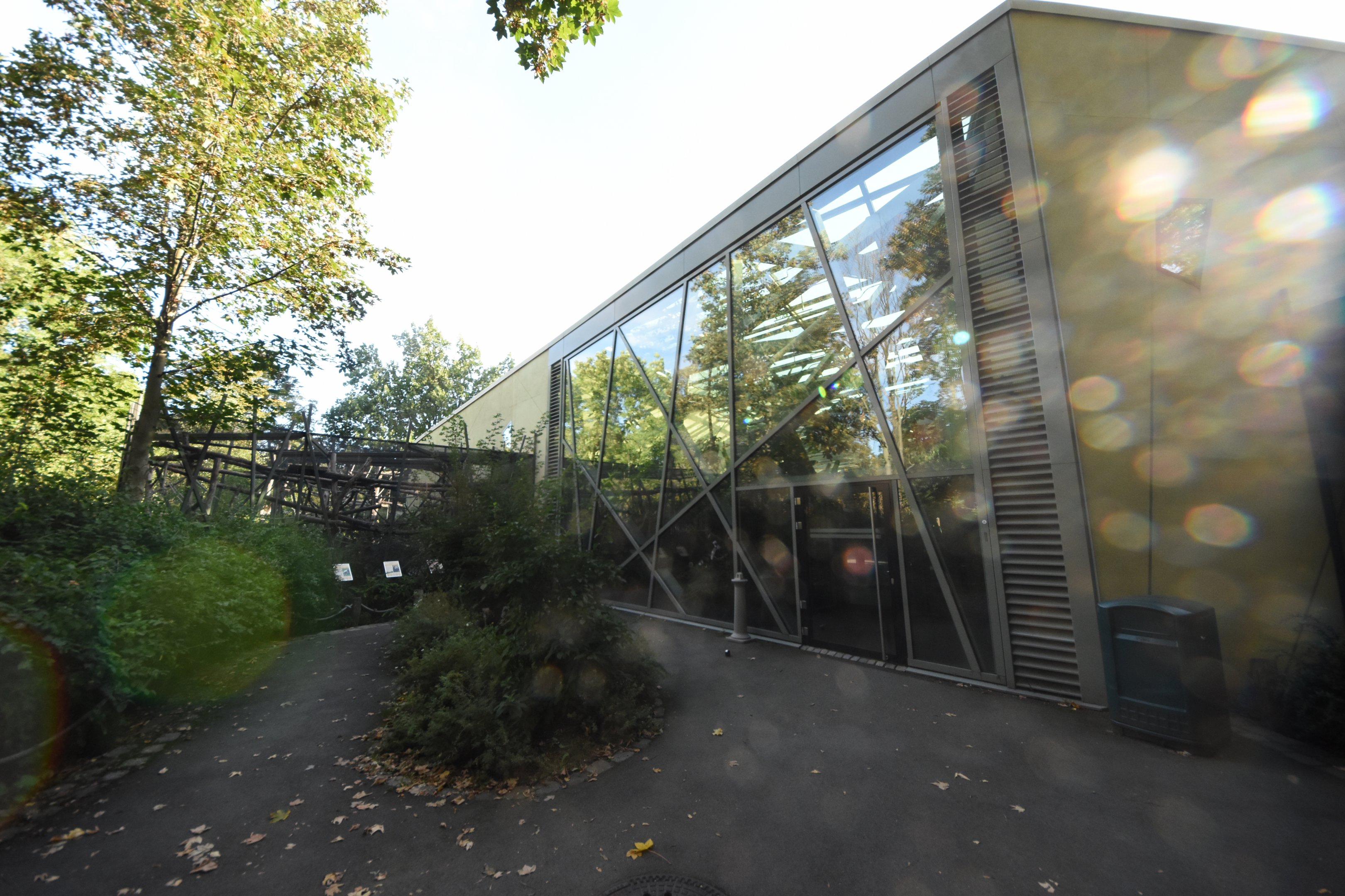 Prof. Brandeshaus - Tamandua & White-faced saki outdoor