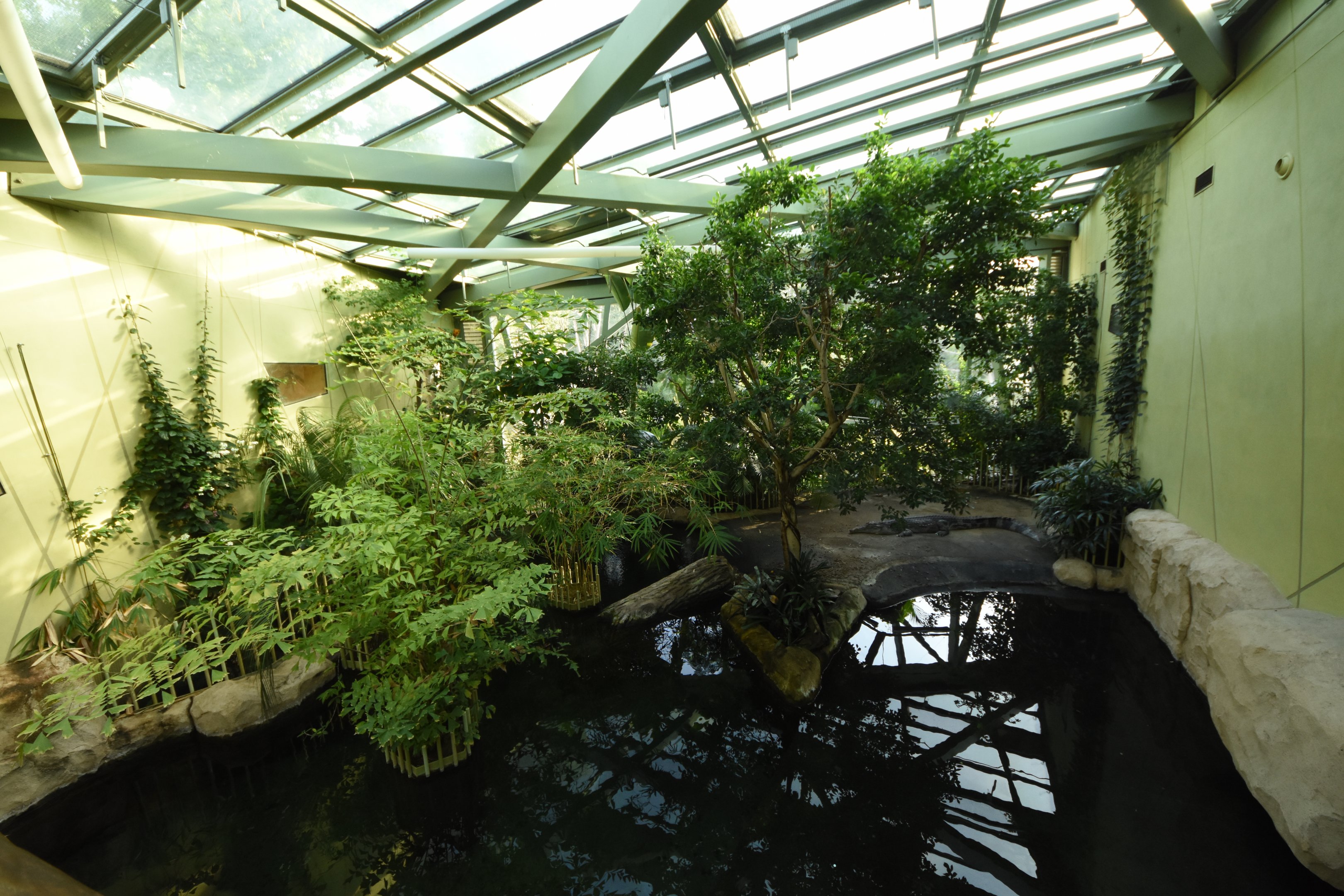 Prof. Brandeshaus - Tomistoma enclosure