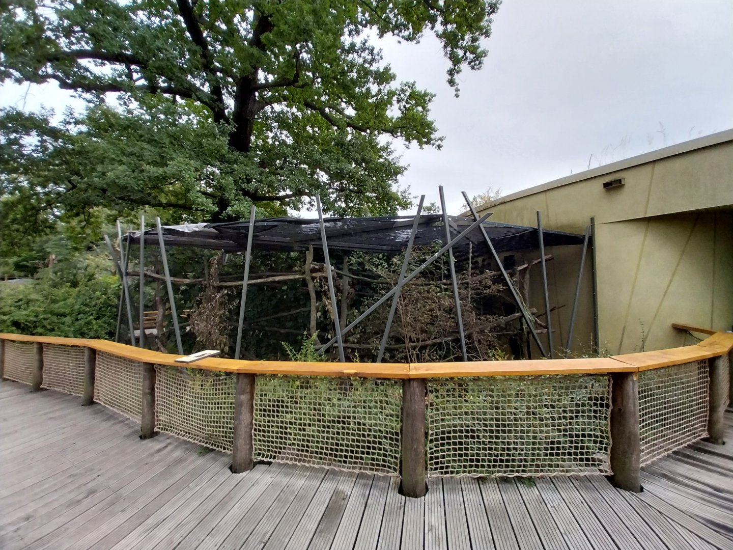 Professor Brandes Haus - Crowned lemur enclosure