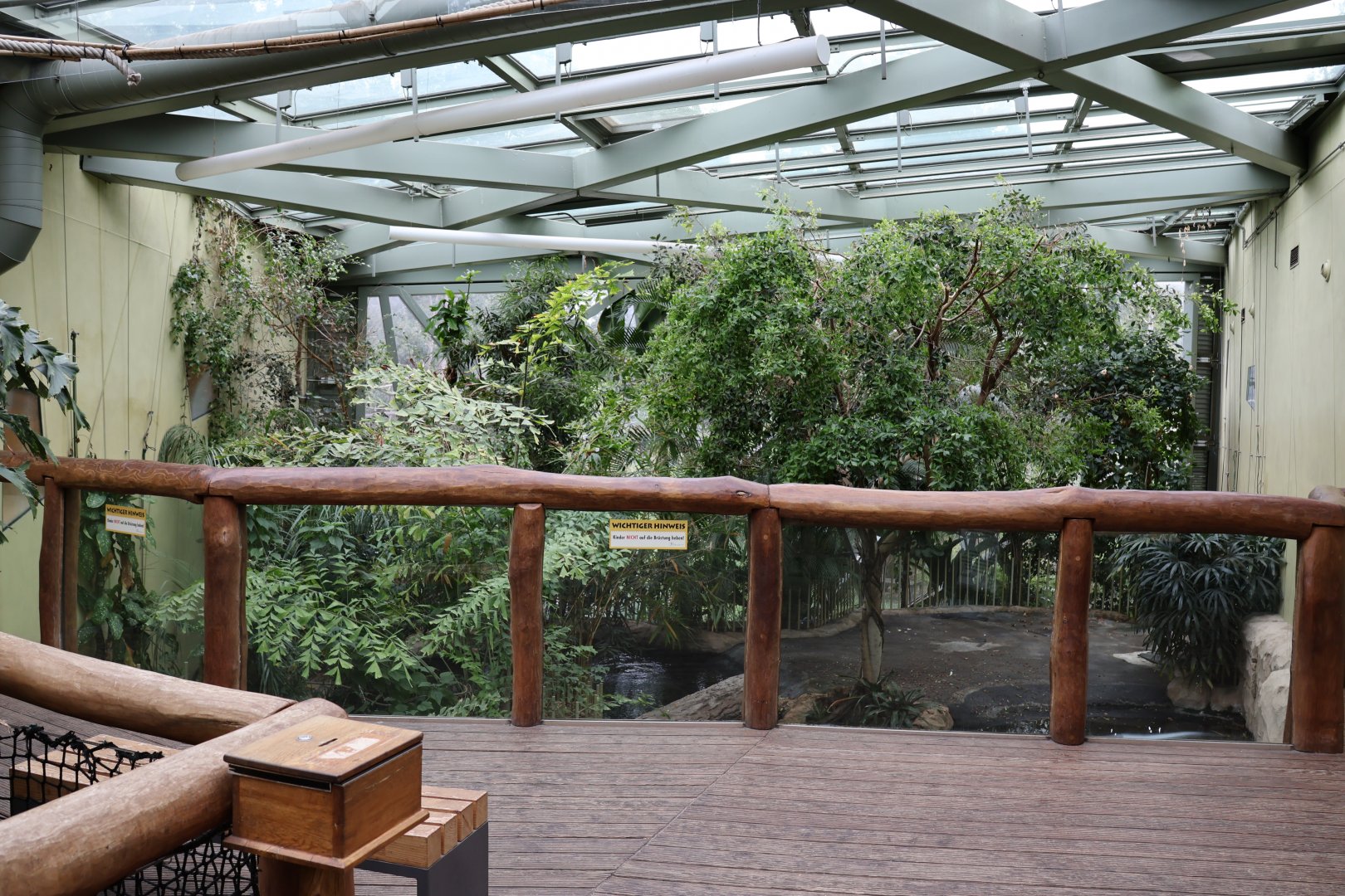 Professor Brandes Haus - False Gharial enclosure