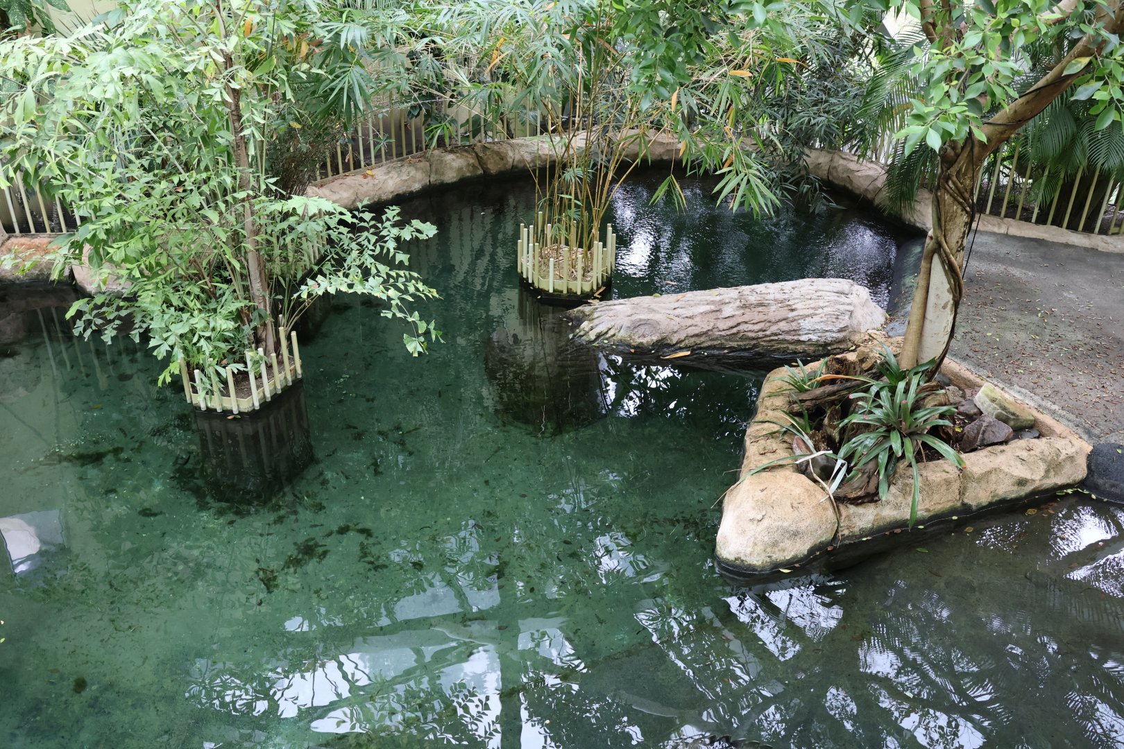 Professor Brandes Haus - False gharial enclosure