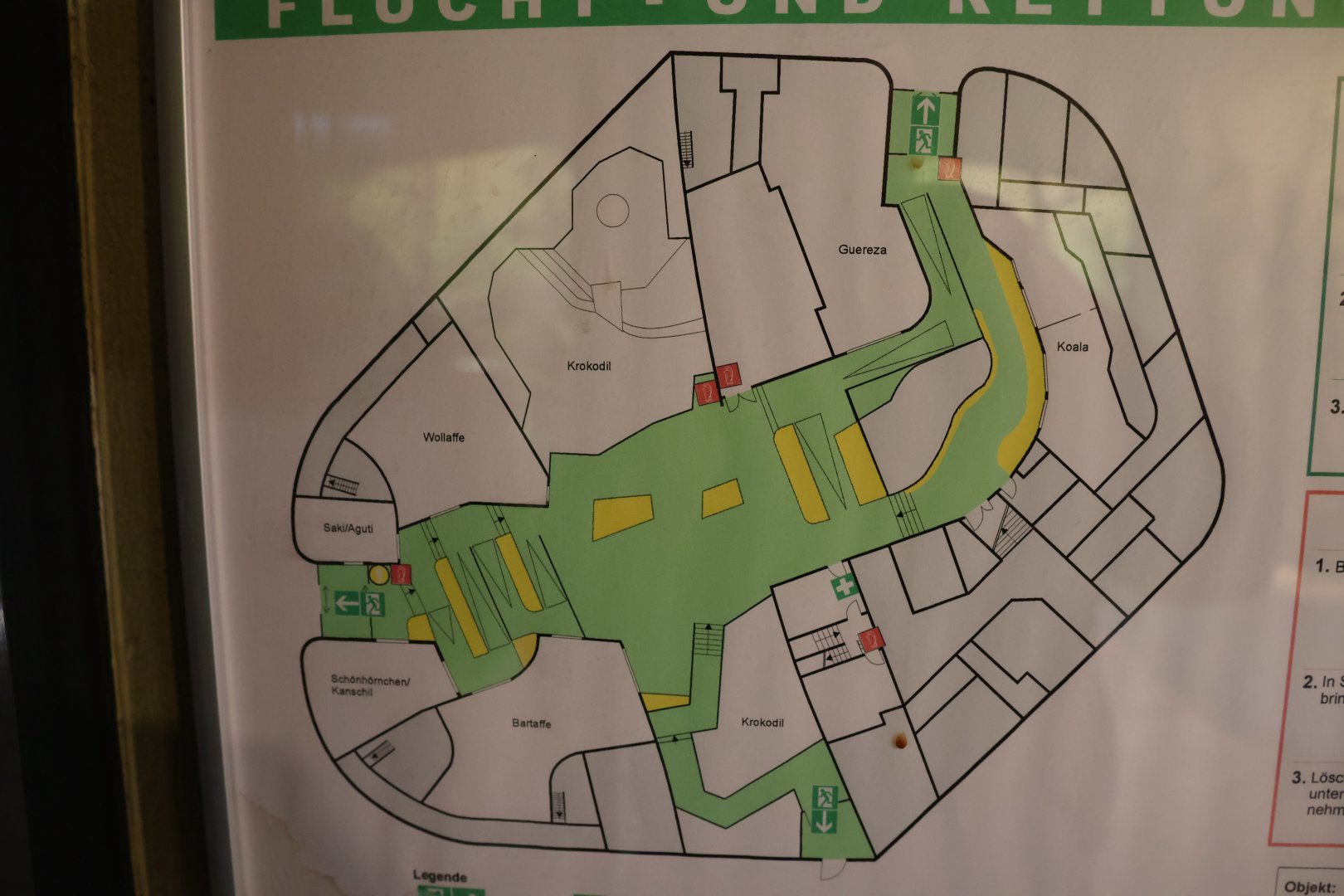 Professor Brandes Haus - Floor plan