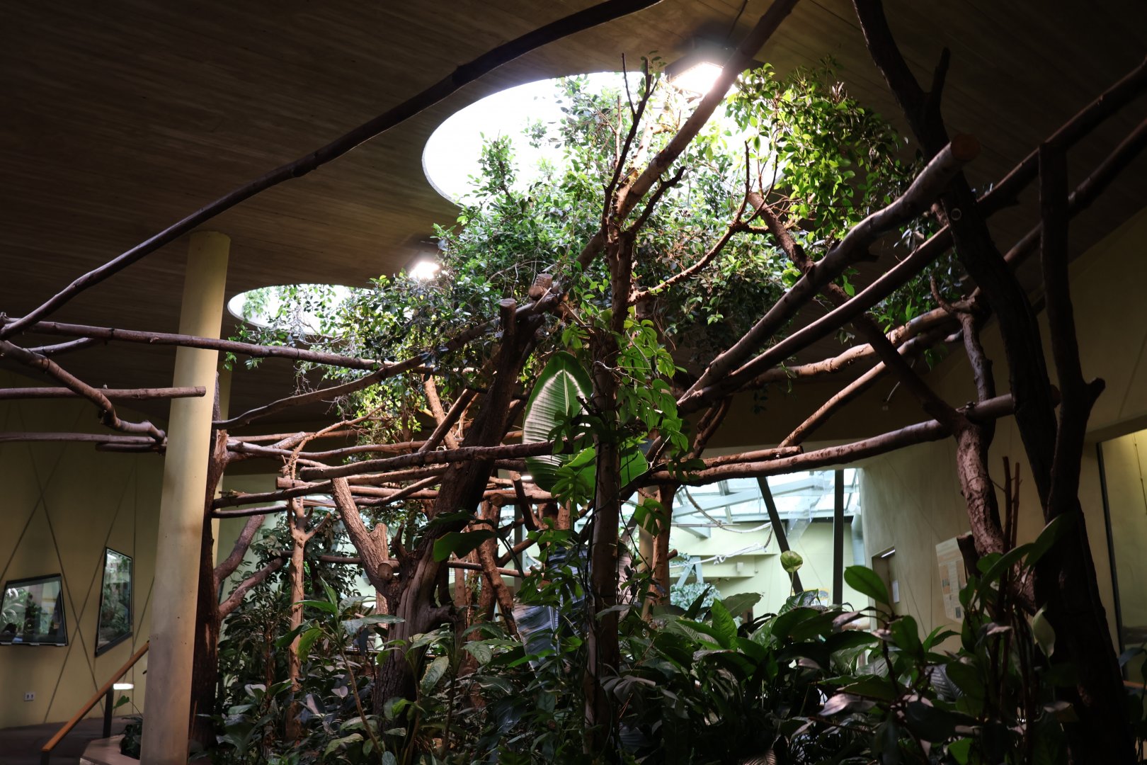 Professor Brandes Haus - General view