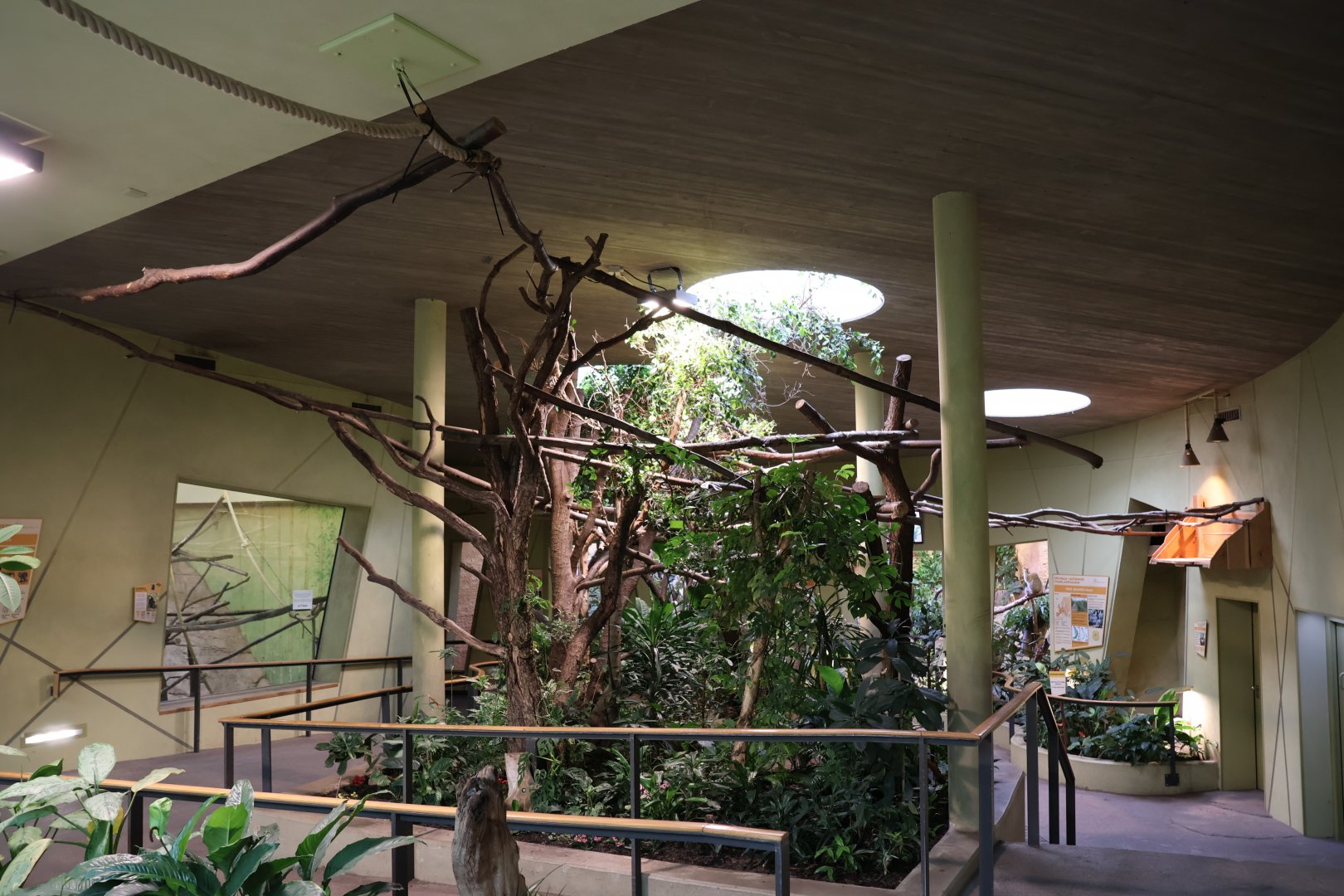 Professor Brandes Haus - General view