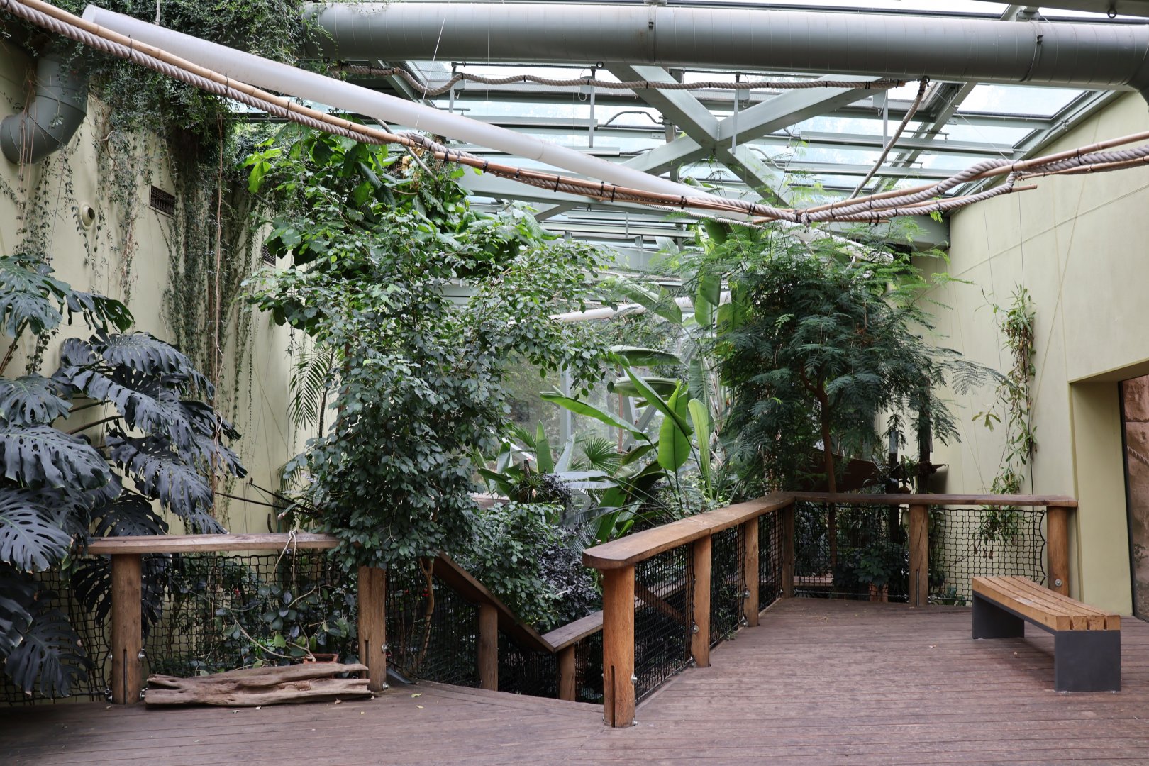 Professor Brandes Haus - General view