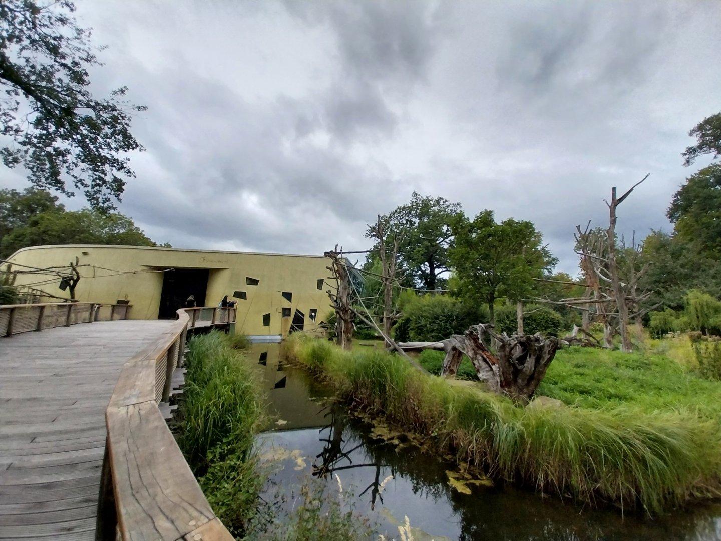 Professor Brandes Haus - Kikuyu Guereza island