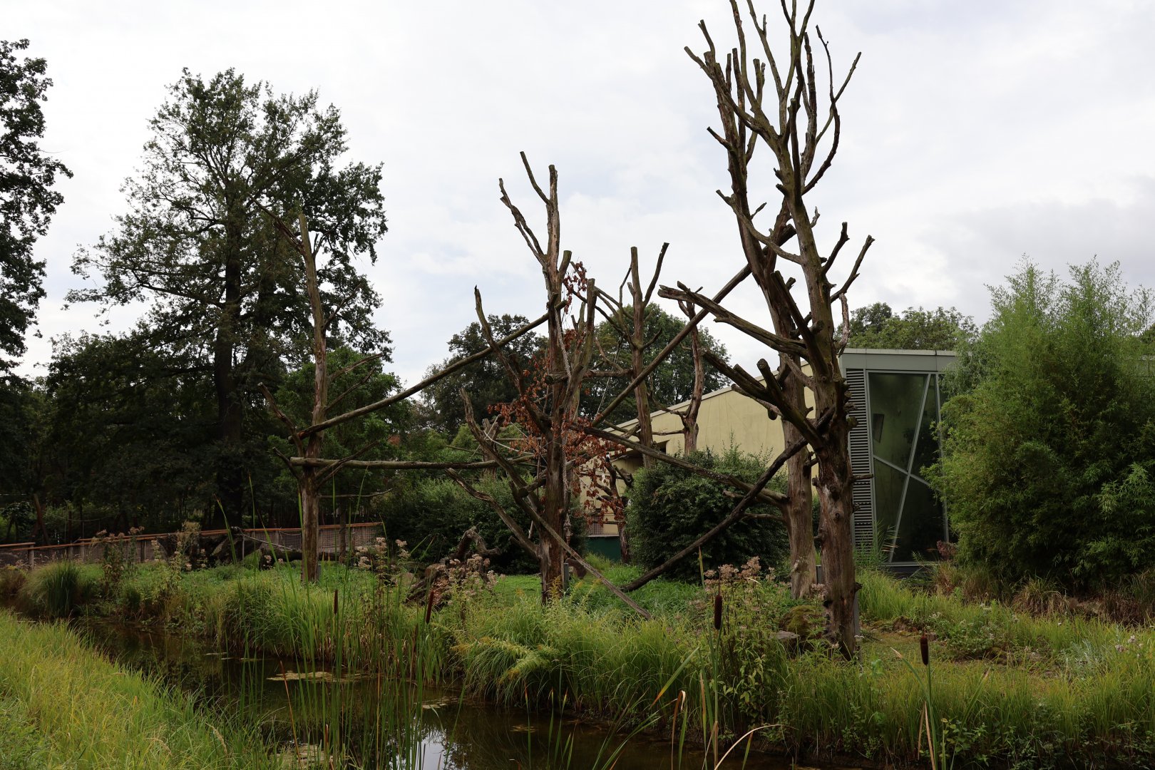 Professor Brandes Haus - Kikuyu Guereza island