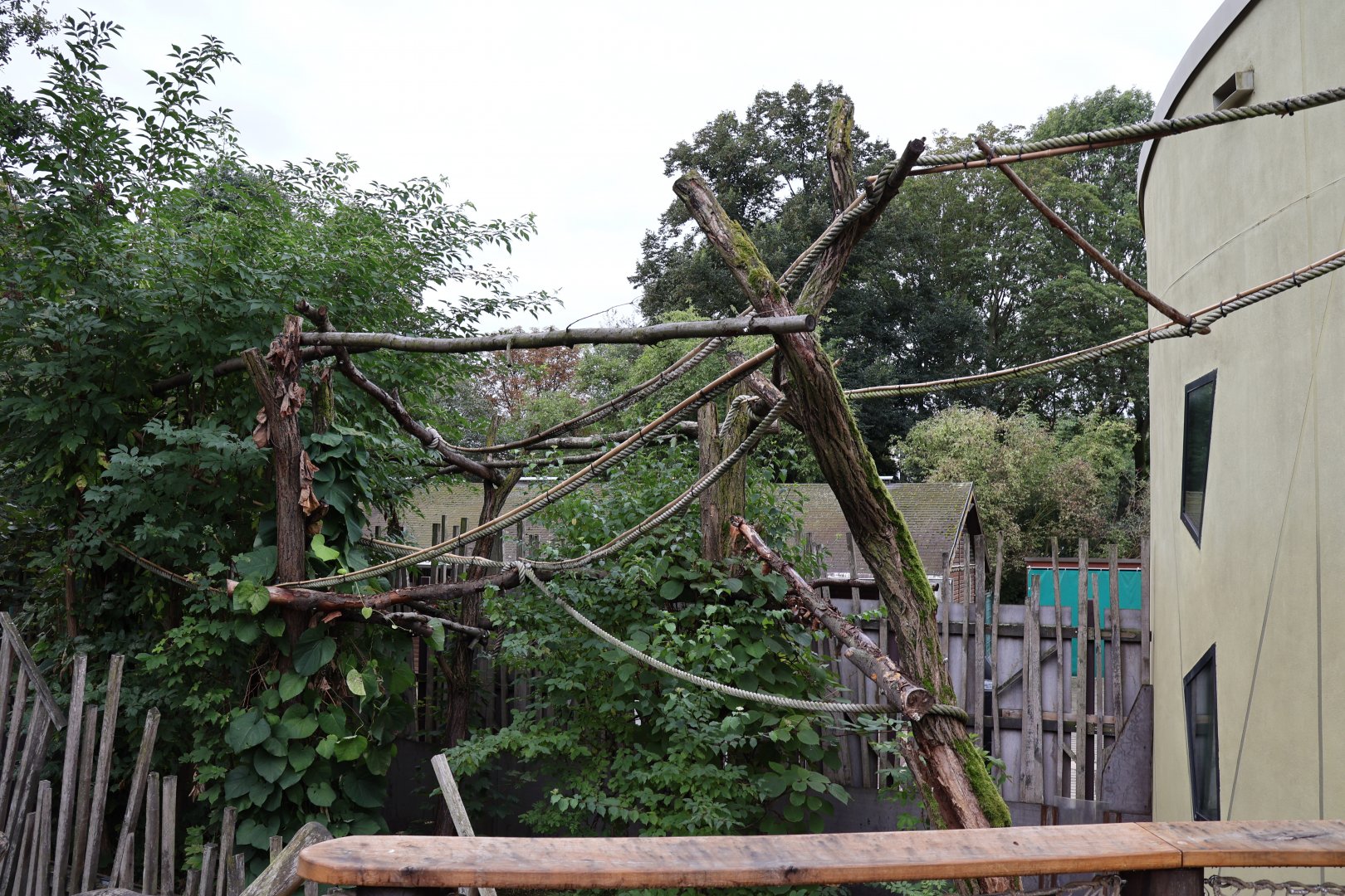 Professor Brandes Haus - Linnaeus' two-toed sloth enclosure