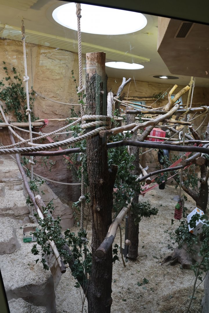 Professor Brandes Haus - Lion-tailed macaque enclosure