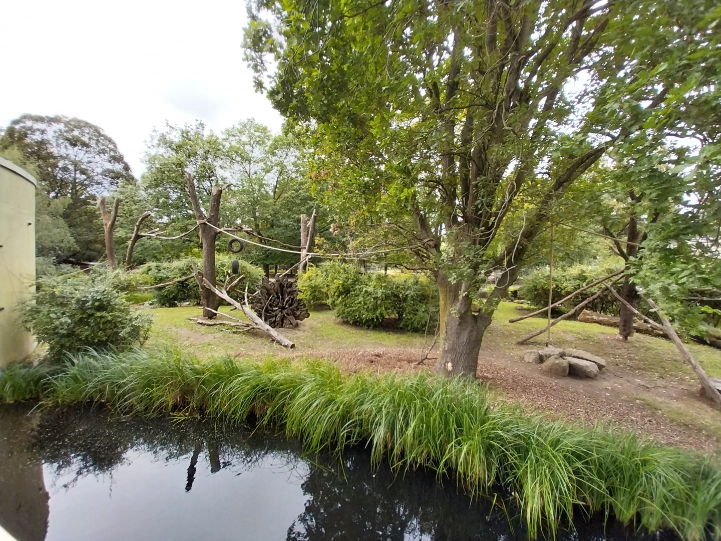 Professor Brandes Haus - Lion-tailed macaque island