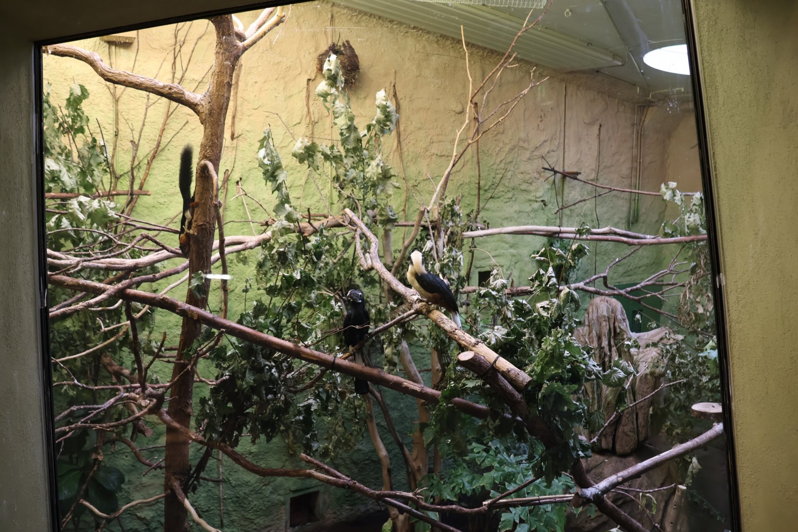 Professor Brandes Haus - Mixed species enclosure