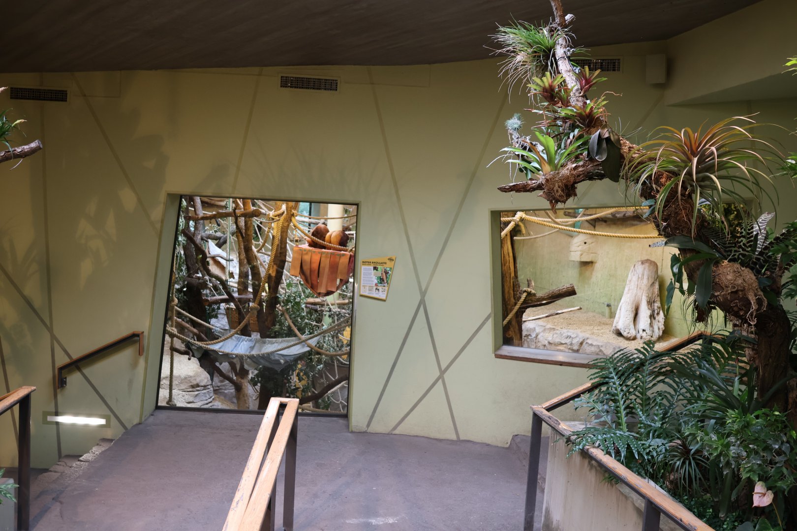 Professor Brandes Haus - Red Howler Monkey enclosure