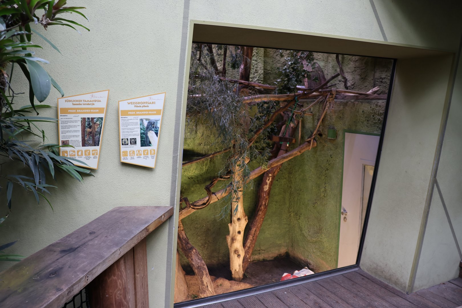 Professor Brandes Haus - White-faced Saki and Southern tamandua enclosure