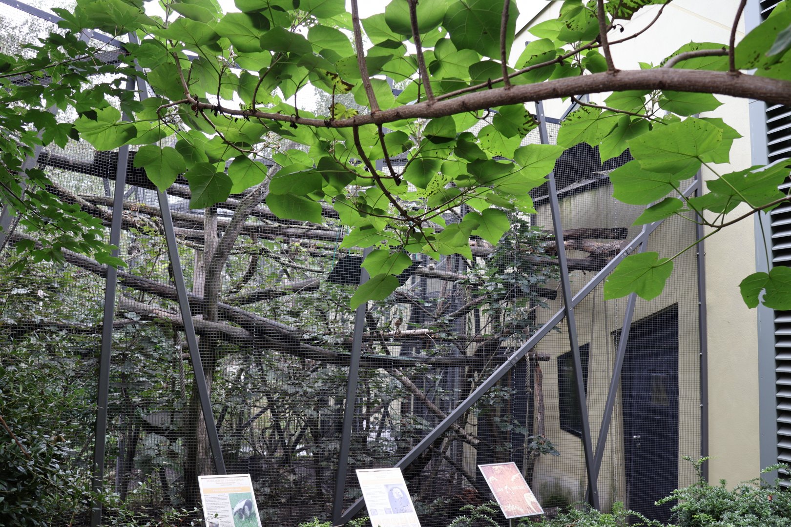 Professor Brandes Haus - White-faced Saki and Southern Tamandua enclosure