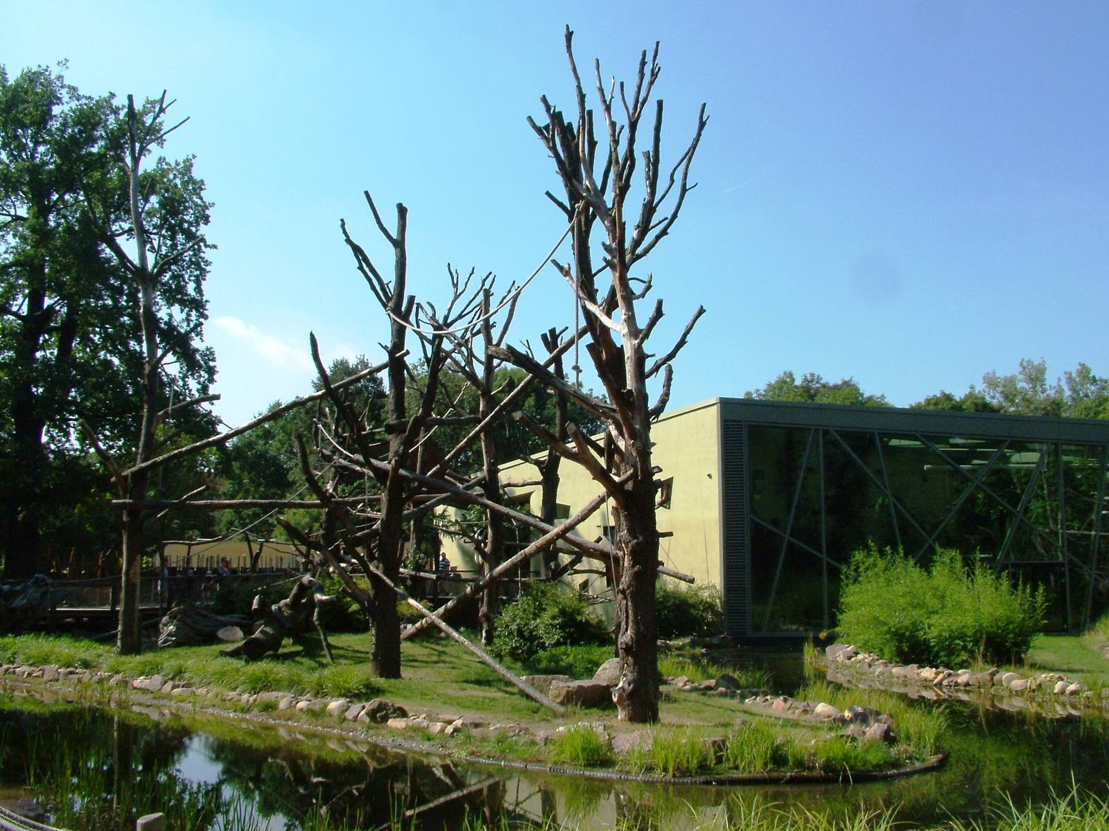 Professor Brandes House at Dresden, 29/08/12