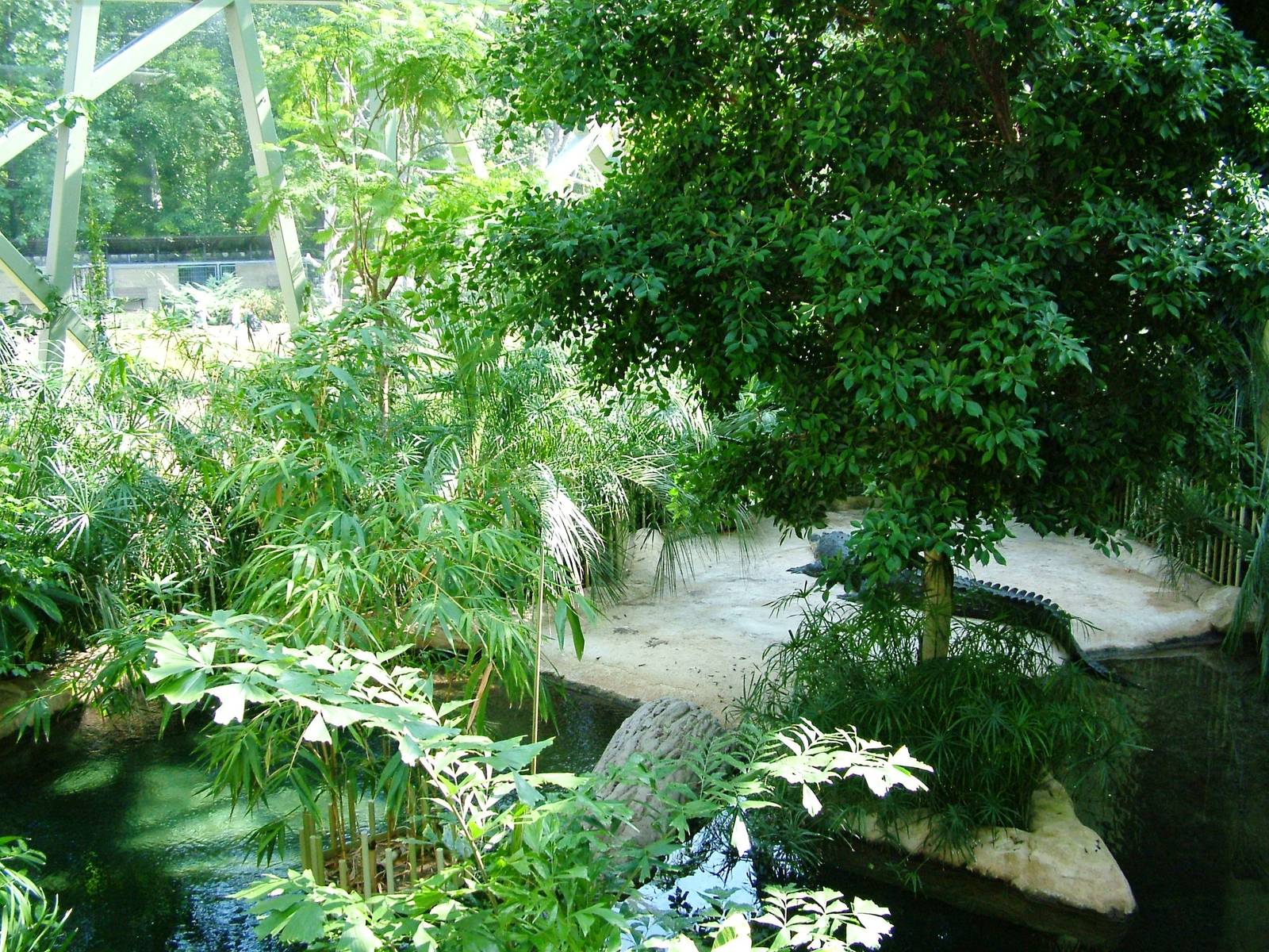 Professor Brandes House Crocodile Exhibit at Dresden, 29/08/12