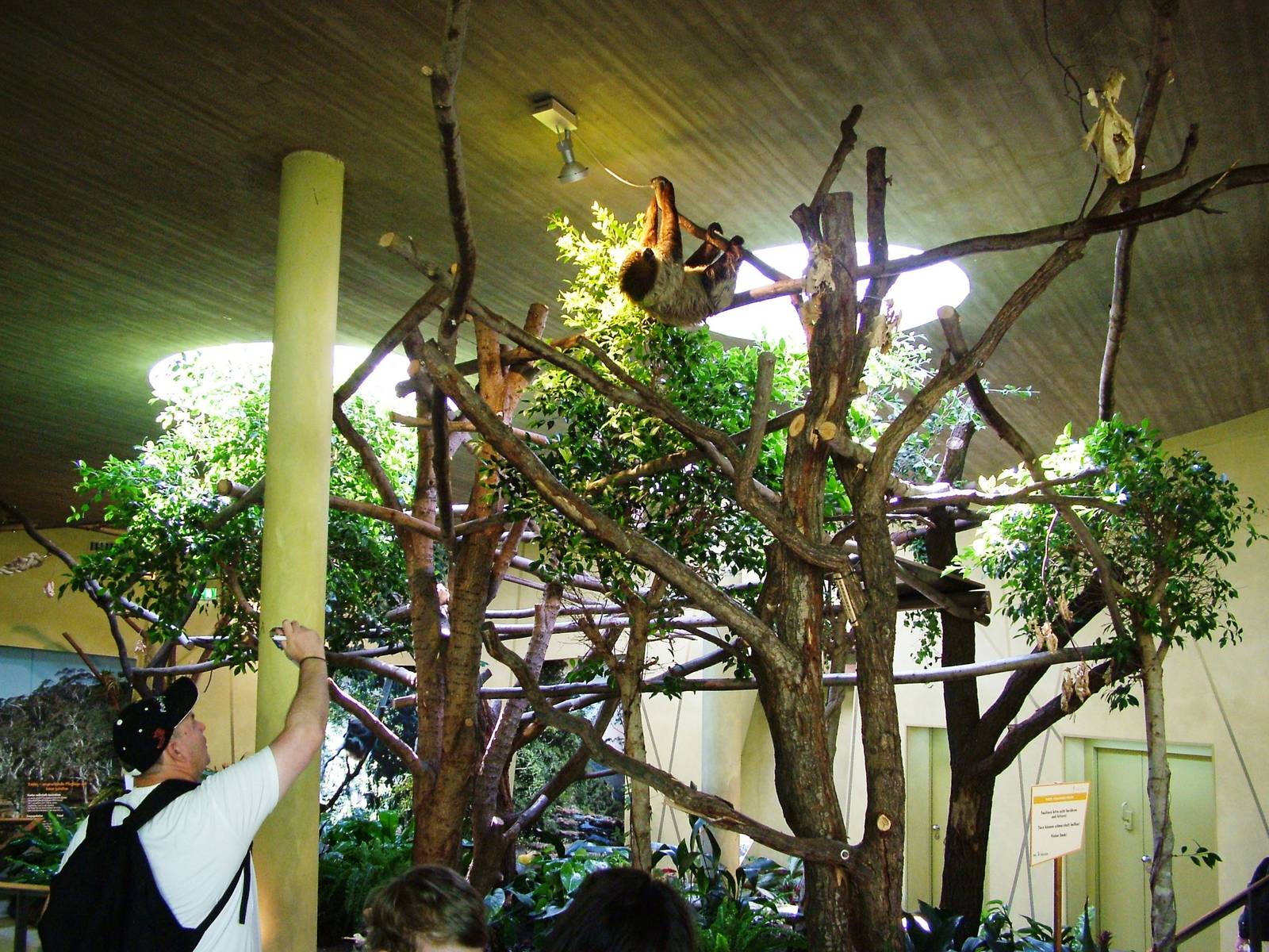 Professor Brandes House Interior at Dresden, 29/08/12