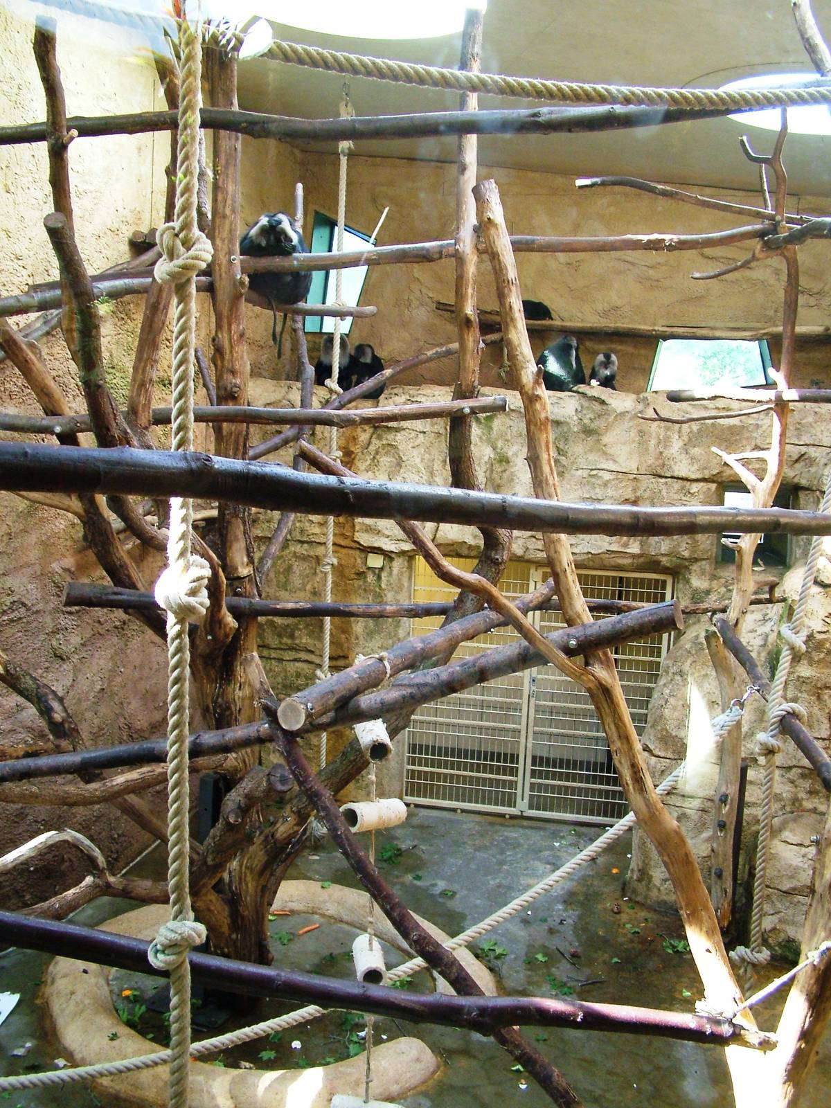 Professor Brandes House Macaque Exhibit at Dresden, 29/08/12