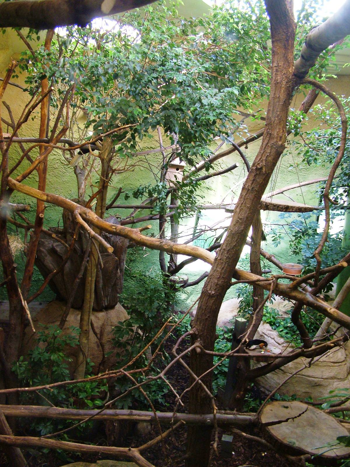 Professor Brandes House Mixed Exhibit at Dresden, 29/08/12