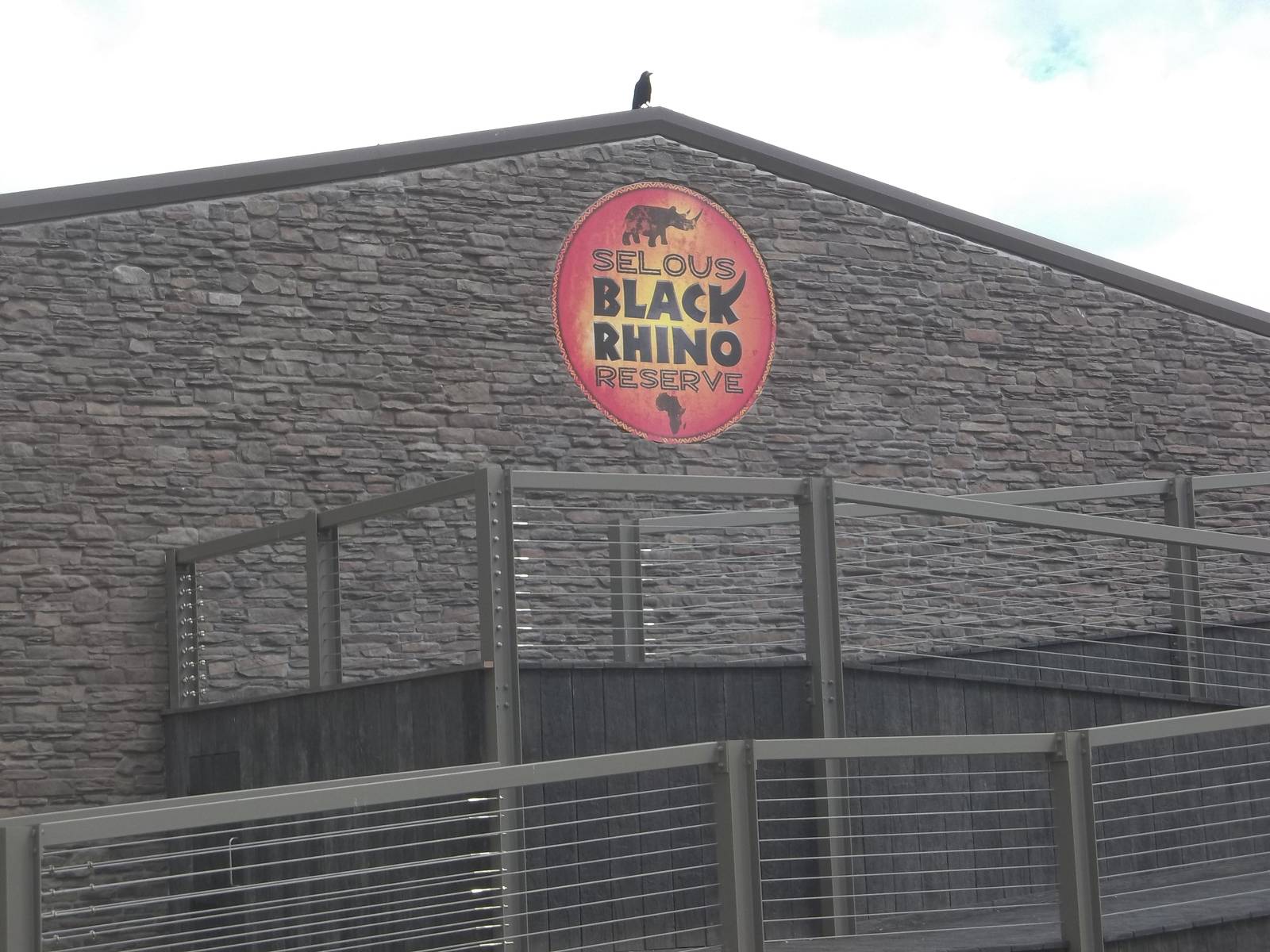 Progess on Black Rhinoceros development, 20th May 2015