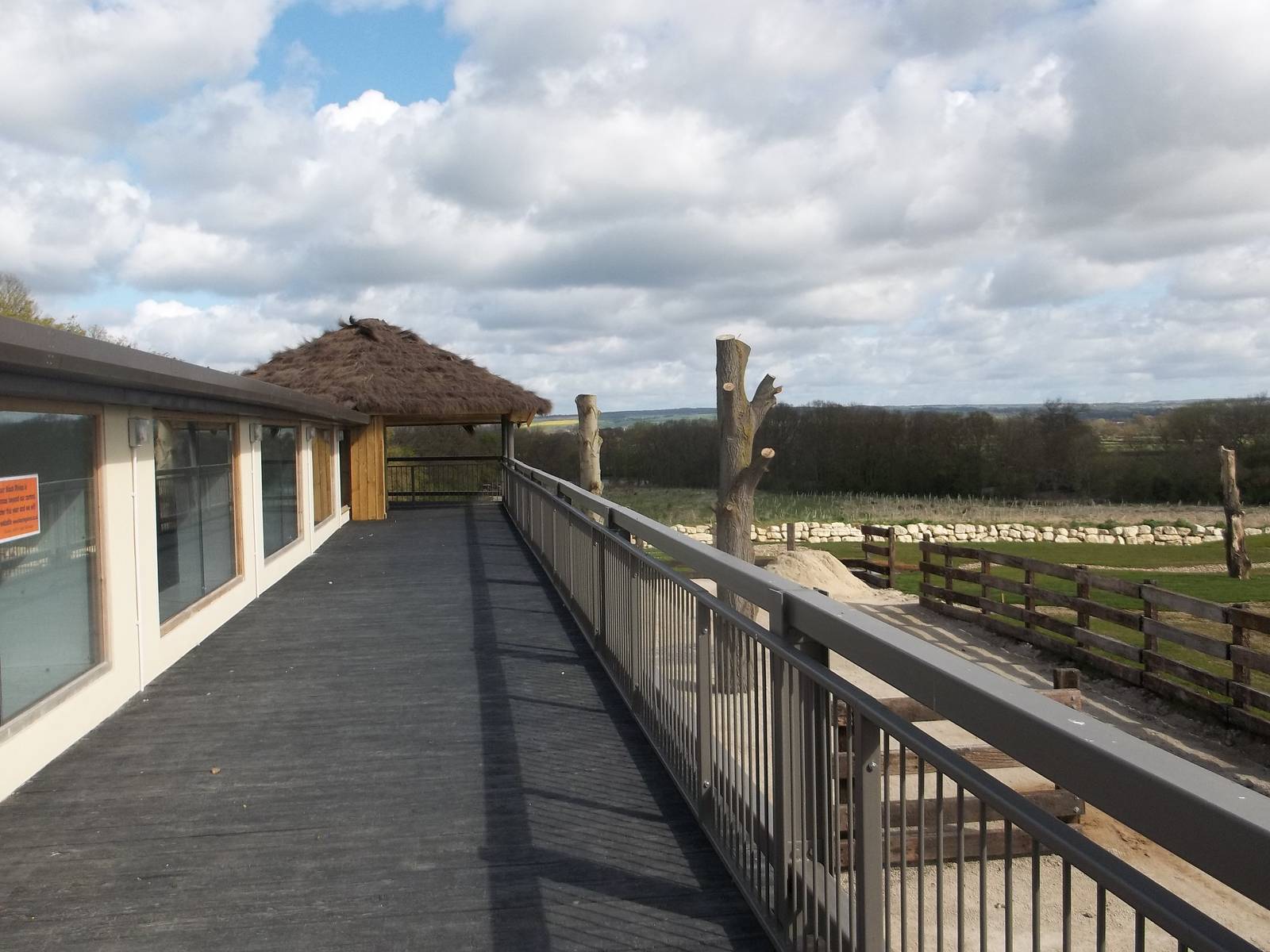 Progess on Black Rhinoceros development, 28th April 2015