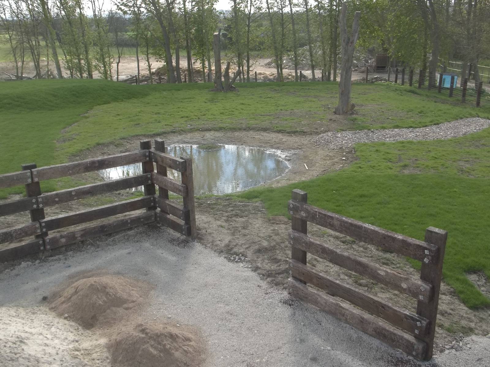 Progess on Black Rhinoceros development, 28th April 2015