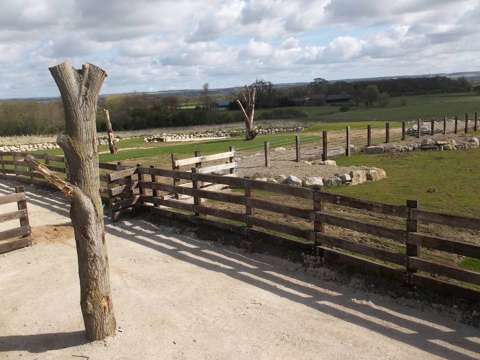 Progess on Black Rhinoceros development, 28th April 2015