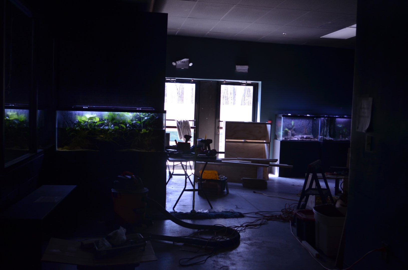 Progress on Amphibian Area