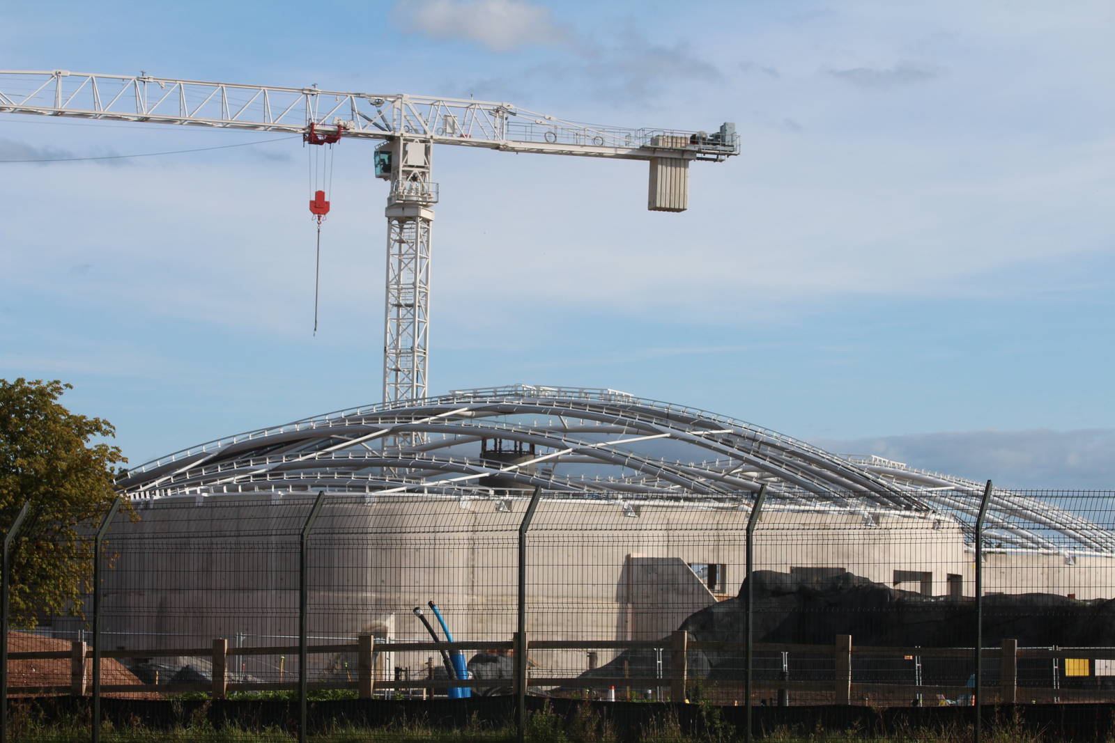 Progress on Monsoon Forest