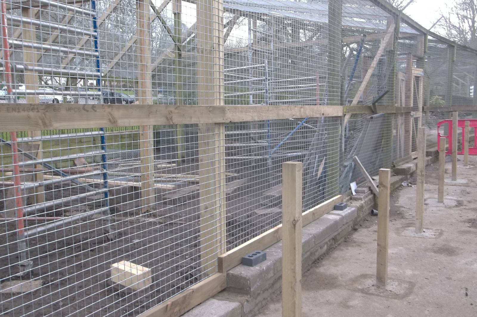 Progress on new Coati exhibit, 8th April 2016