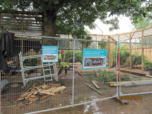 Progress on new owl aviaries