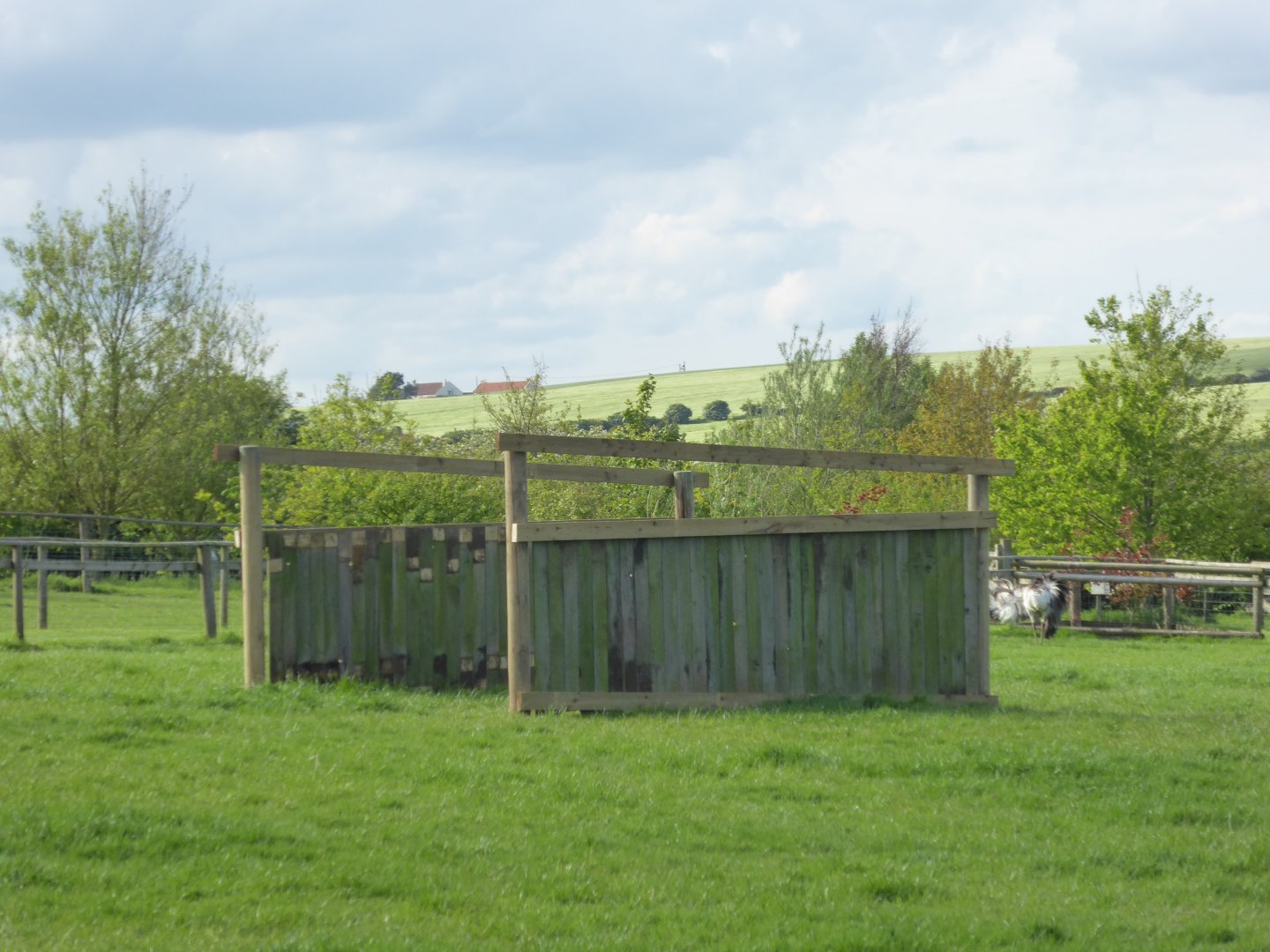 Progress on new shelter in Alpaca and Rhea paddock, 21st May 2017